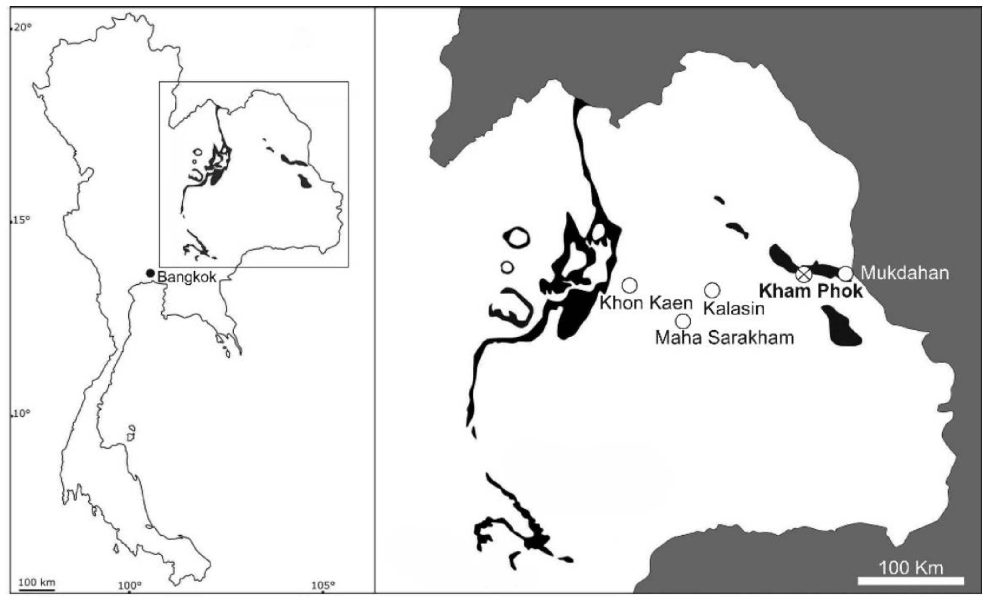 Diversity 15 00286 g001
