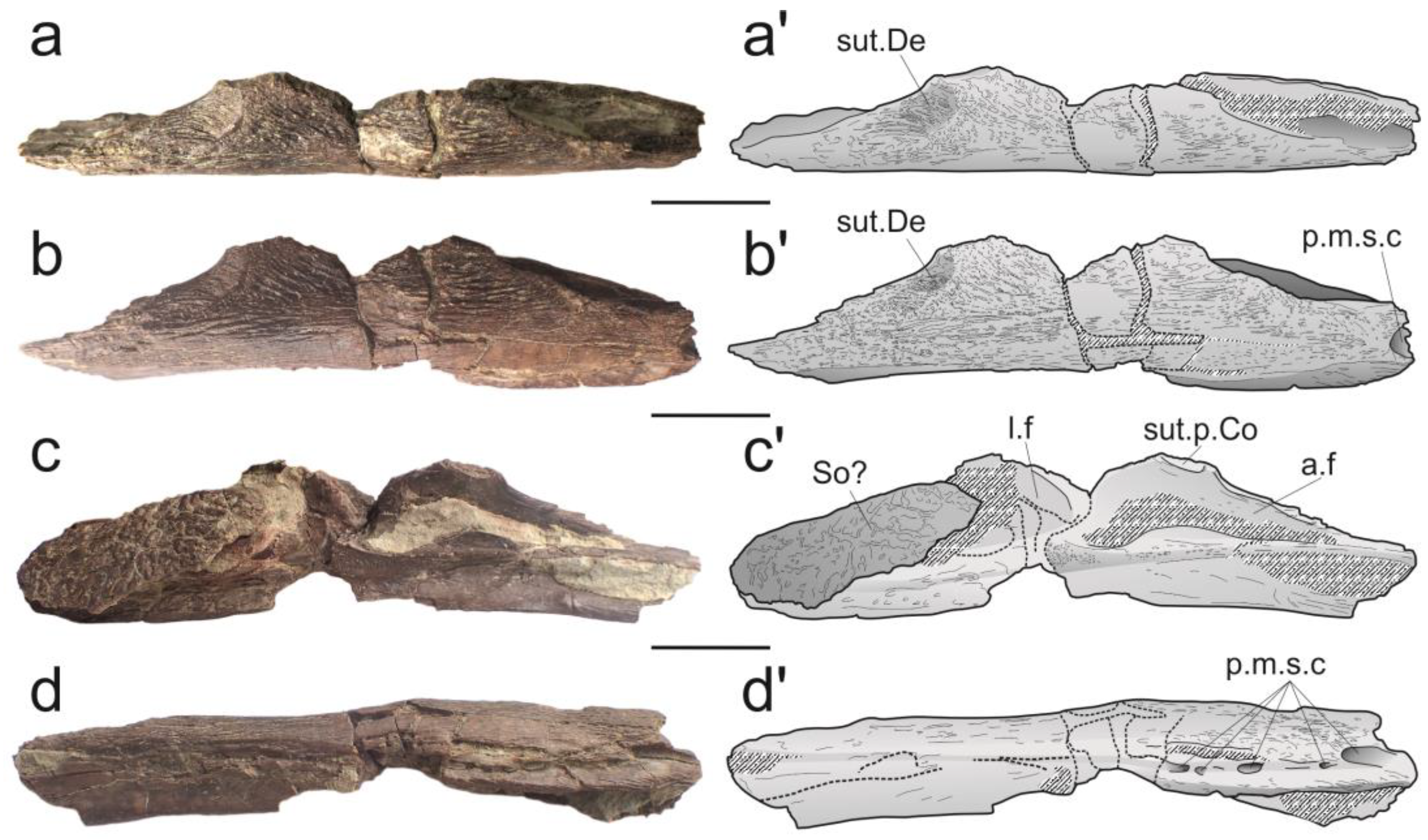 Diversity 15 00286 g002