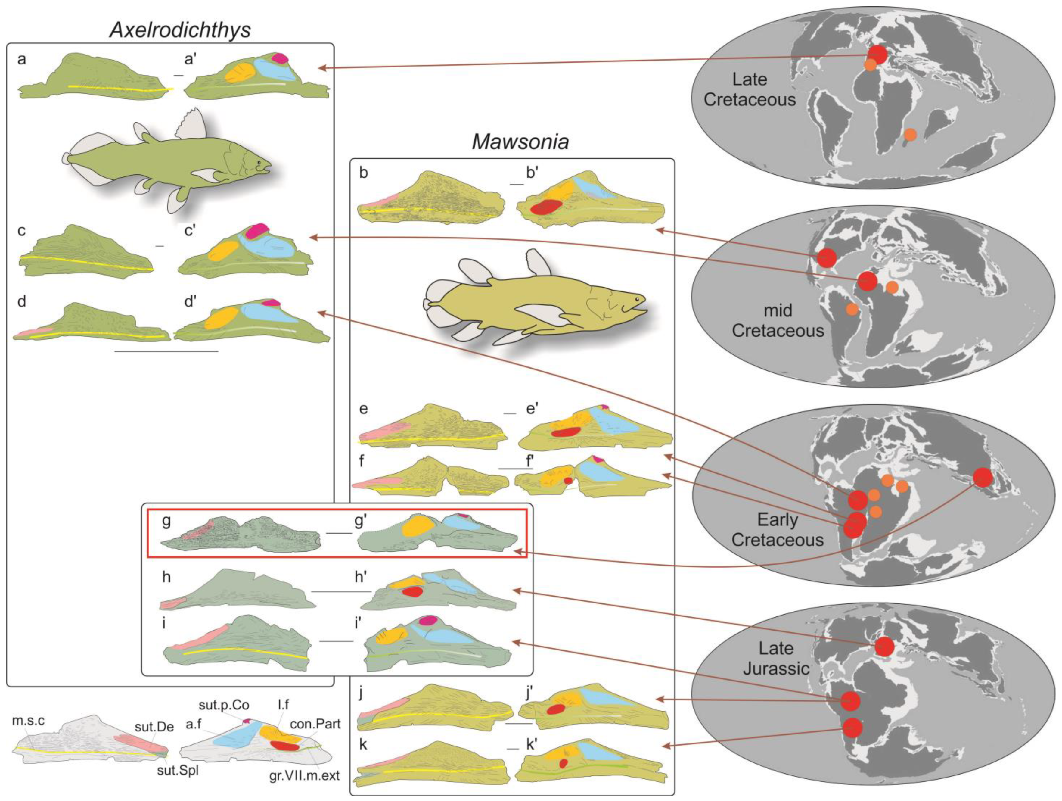 Diversity 15 00286 g003