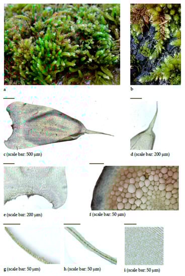 Diversity 15 00295 g0a13