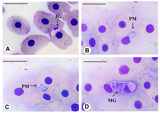 Diversity 15 00296 g008