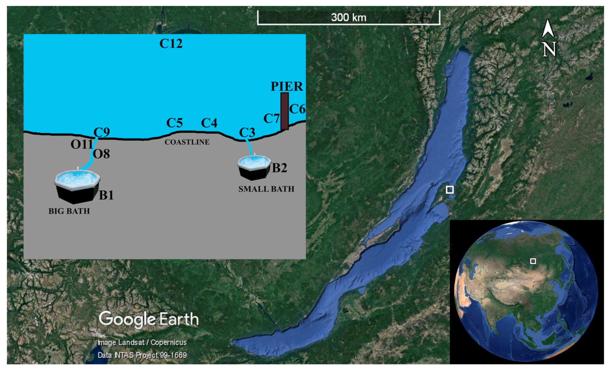 Diversity 15 00298 g001