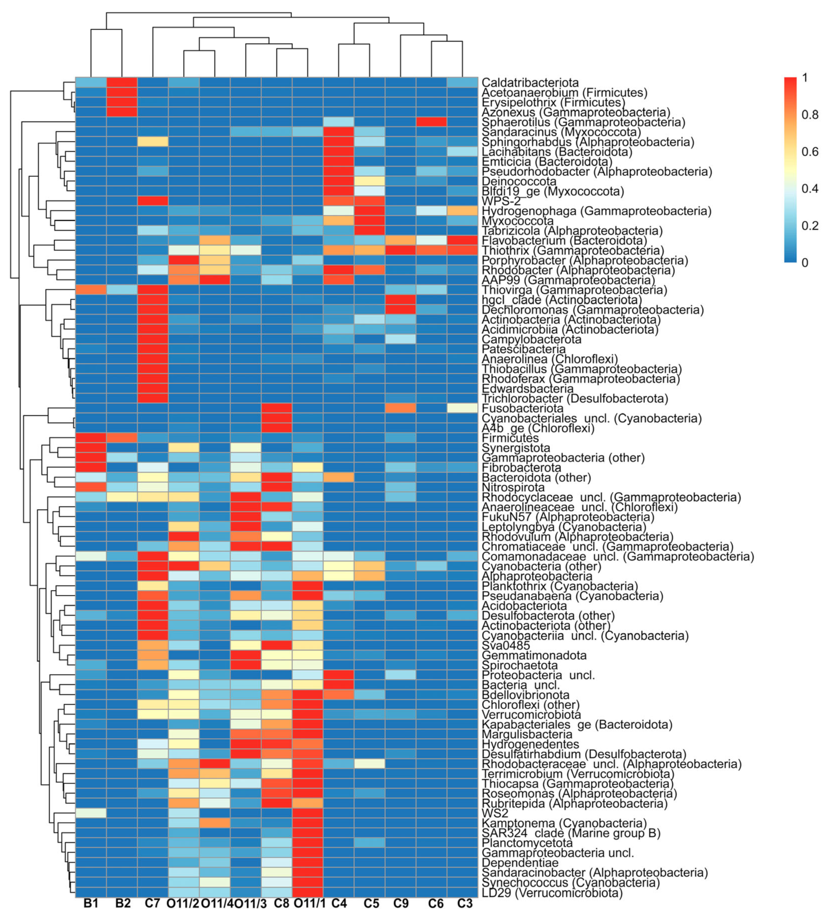 Diversity 15 00298 g004