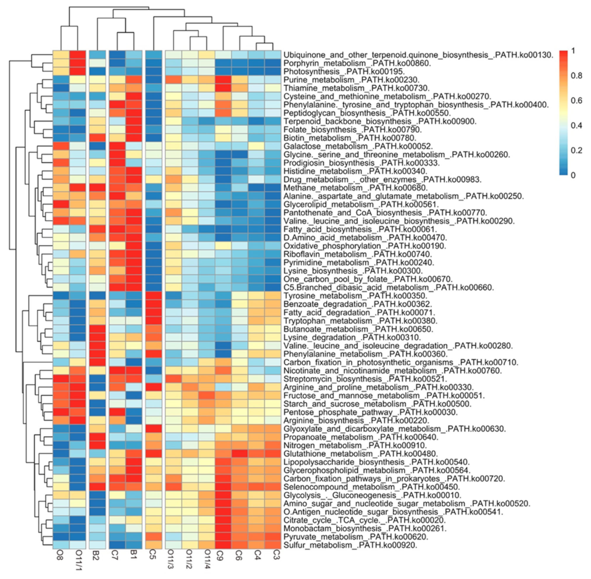 Diversity 15 00298 g006