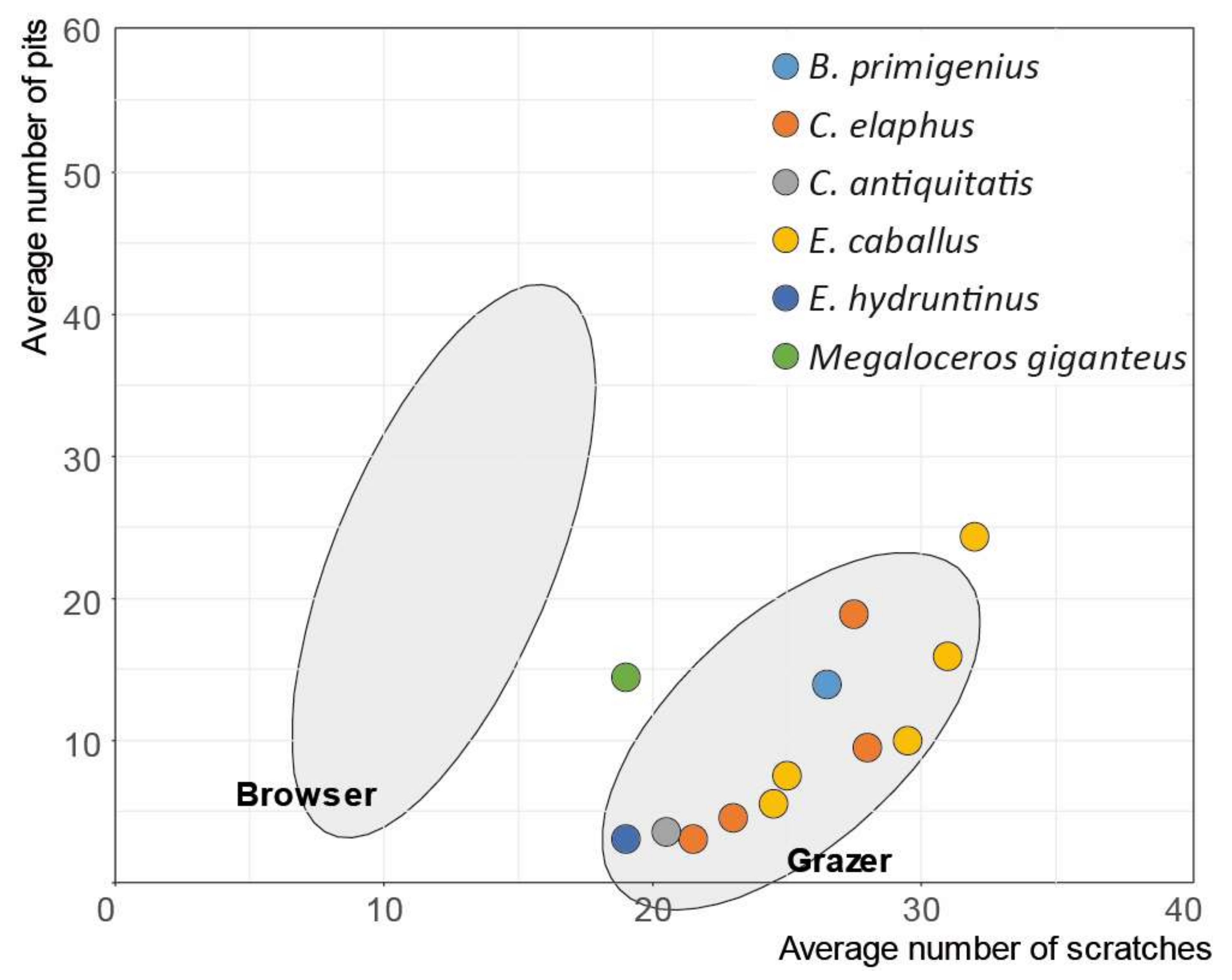 Diversity 15 00299 g006