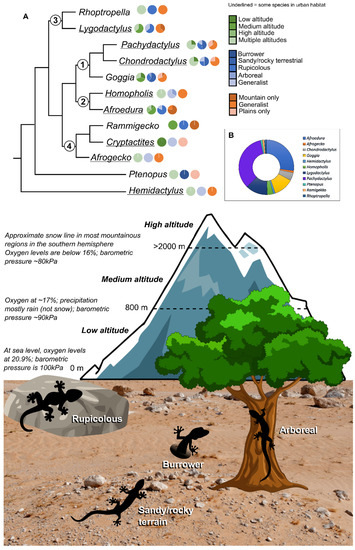Diversity 15 00306 g001