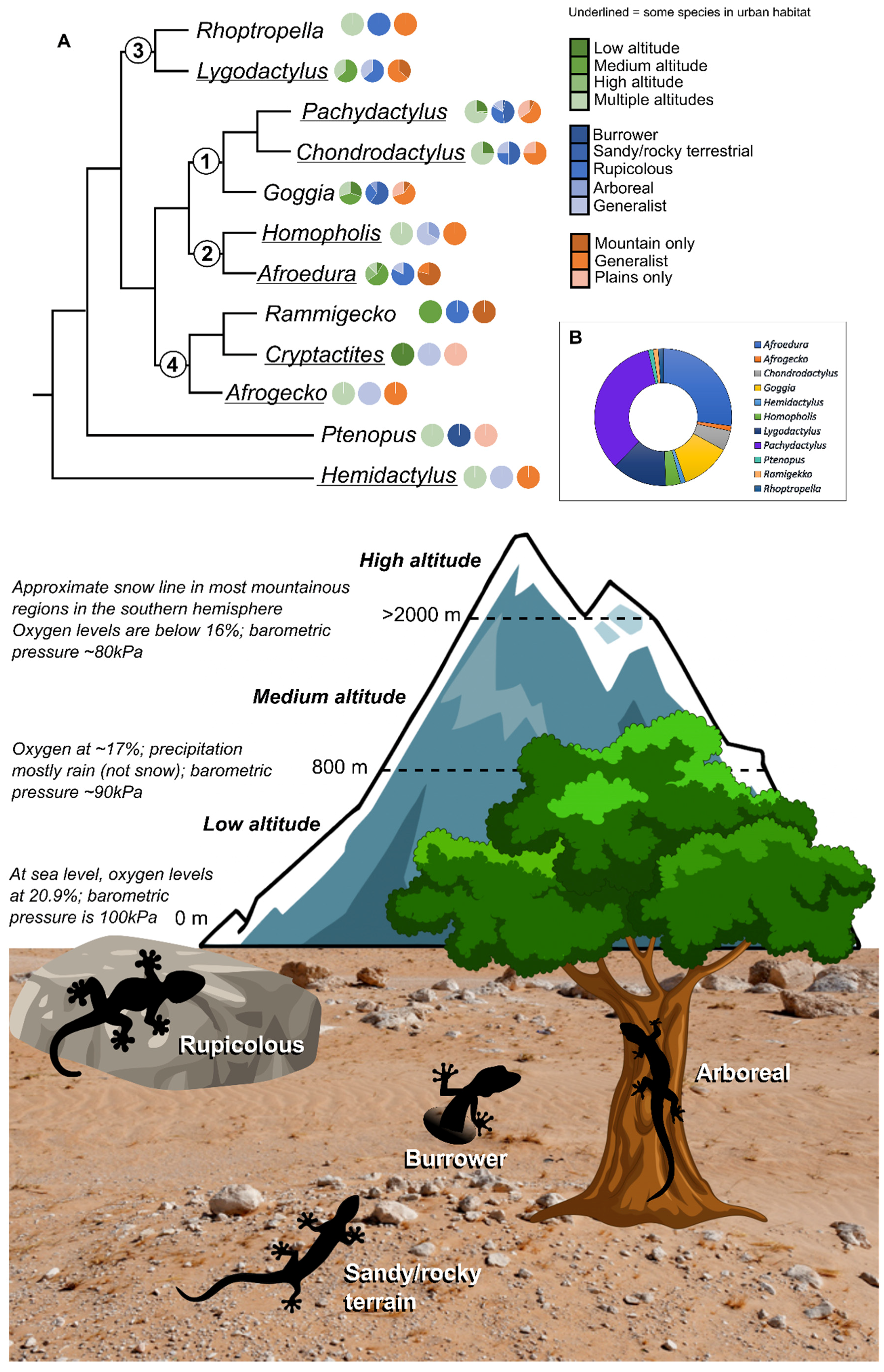 Diversity 15 00306 g001