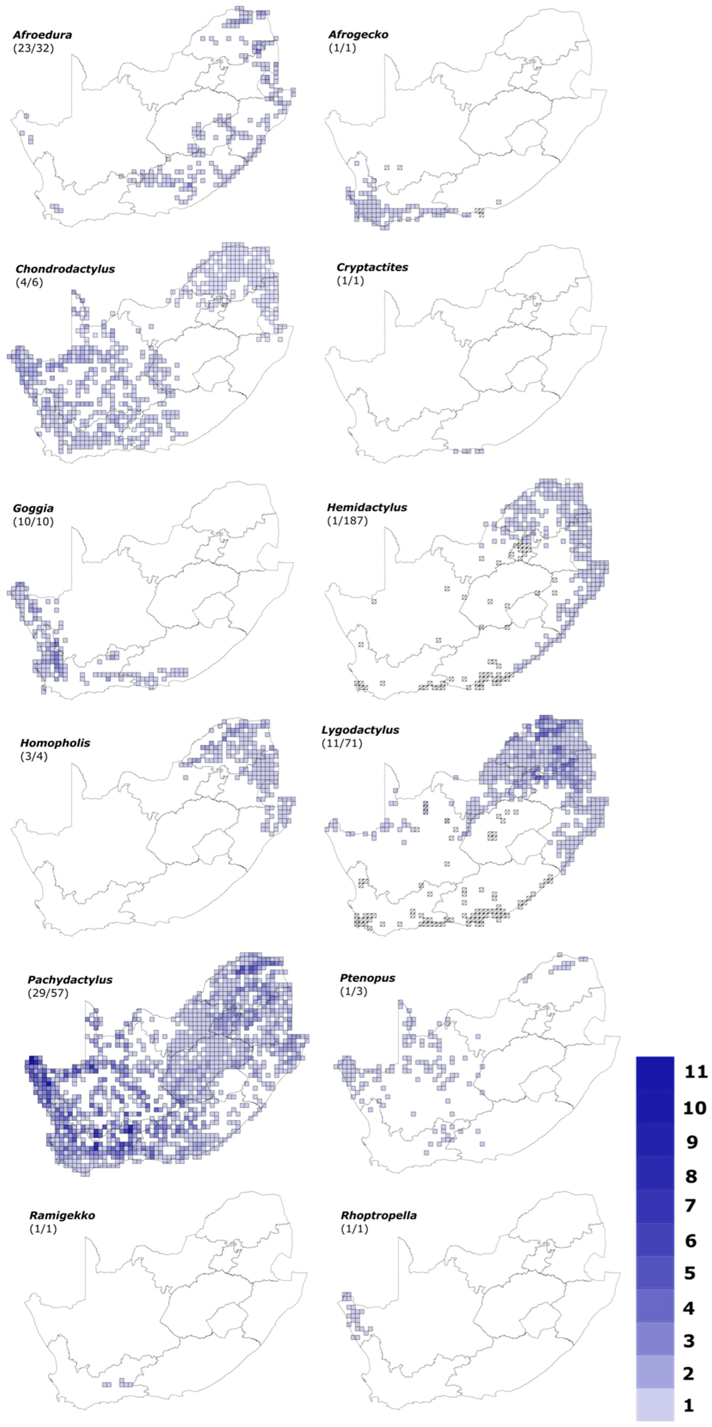 Diversity 15 00306 g002