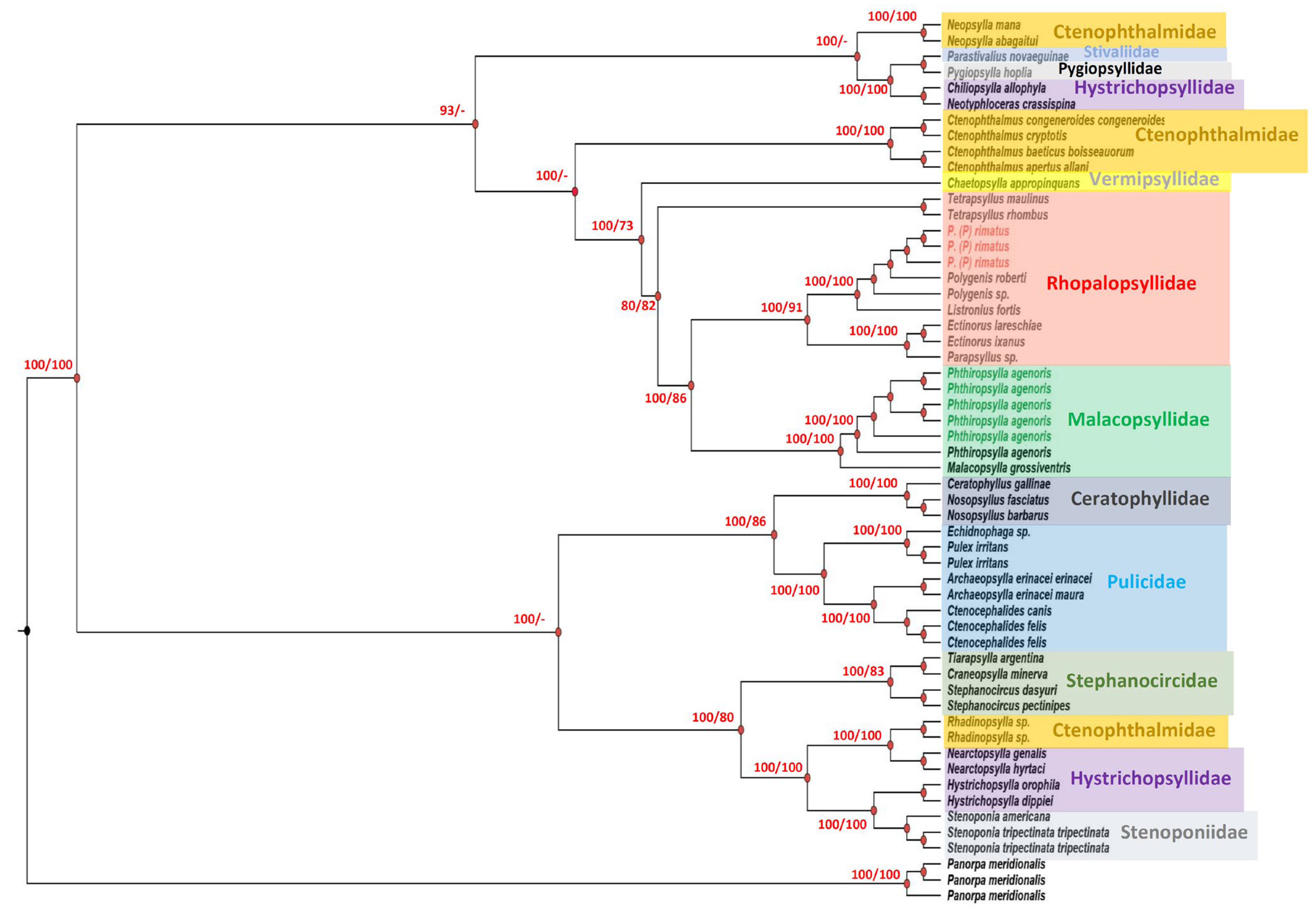 Diversity 15 00308 g003