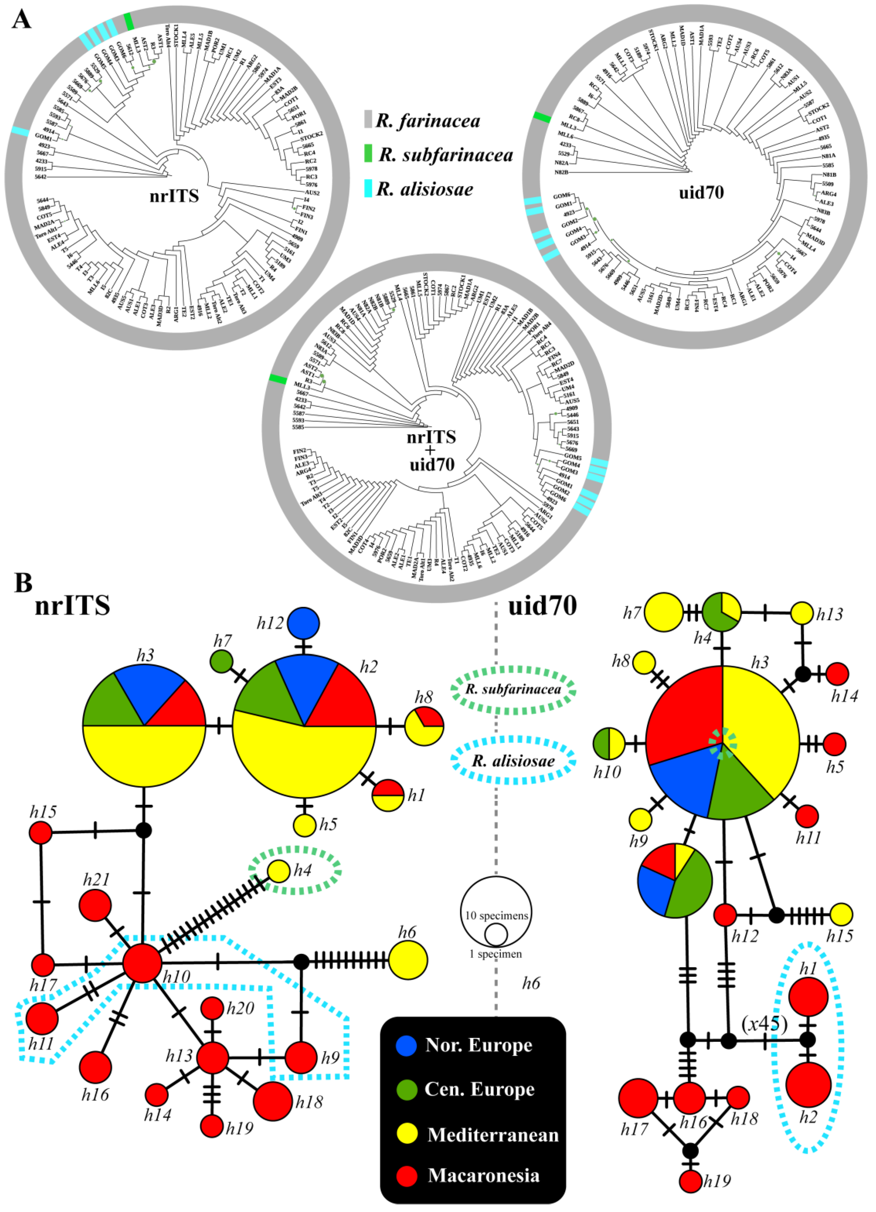 Diversity 15 00310 g001
