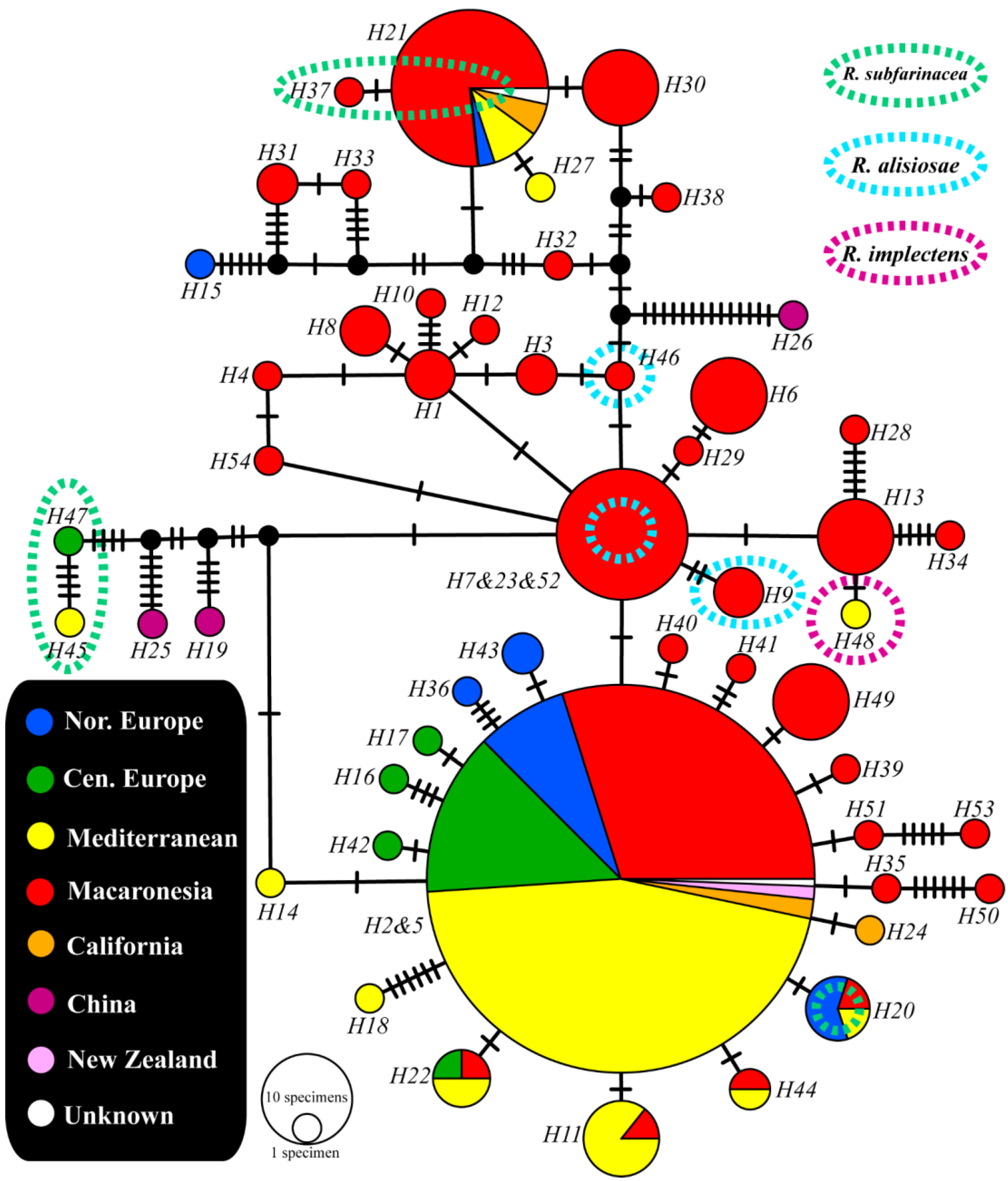 Diversity 15 00310 g002