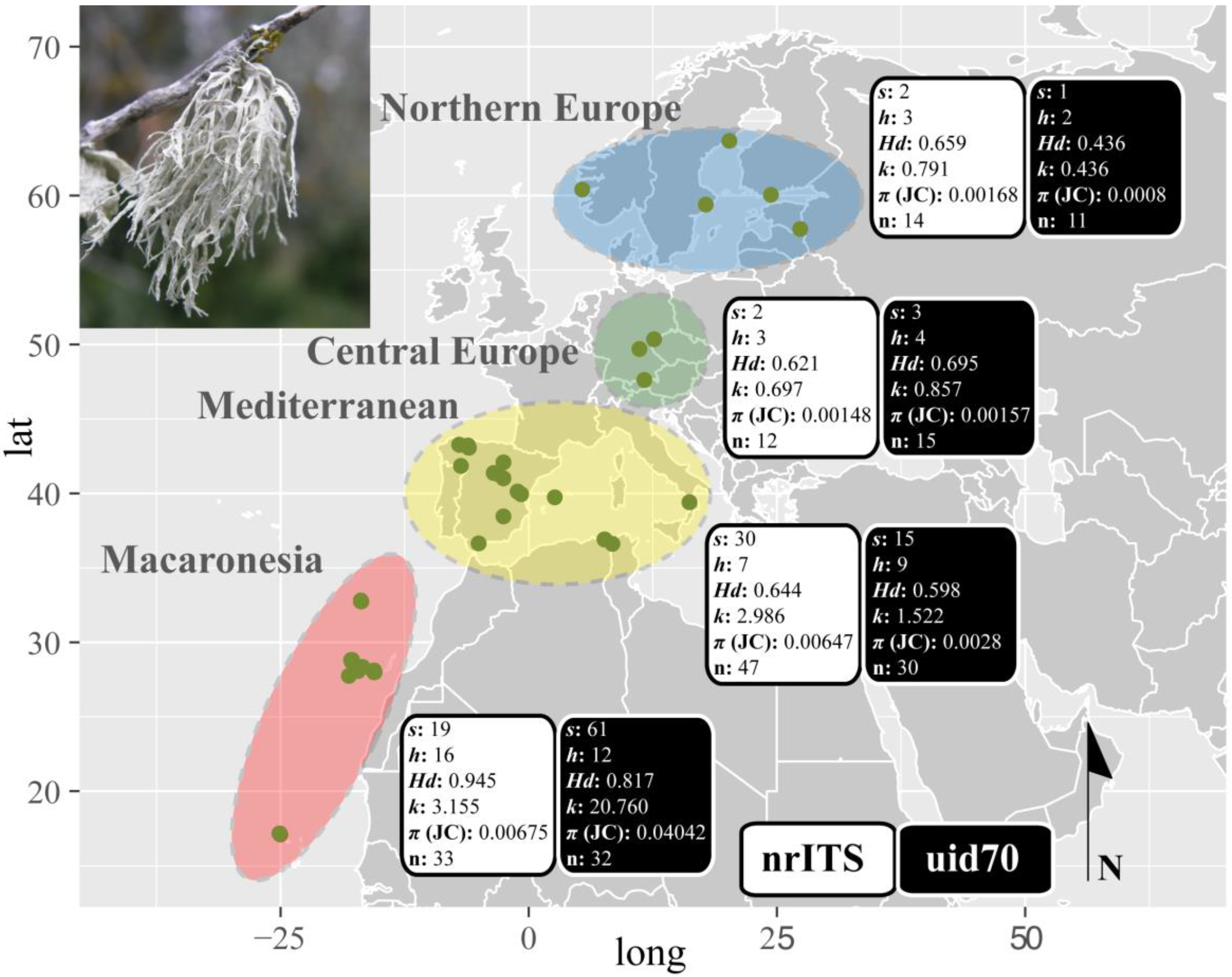 Diversity 15 00310 g004