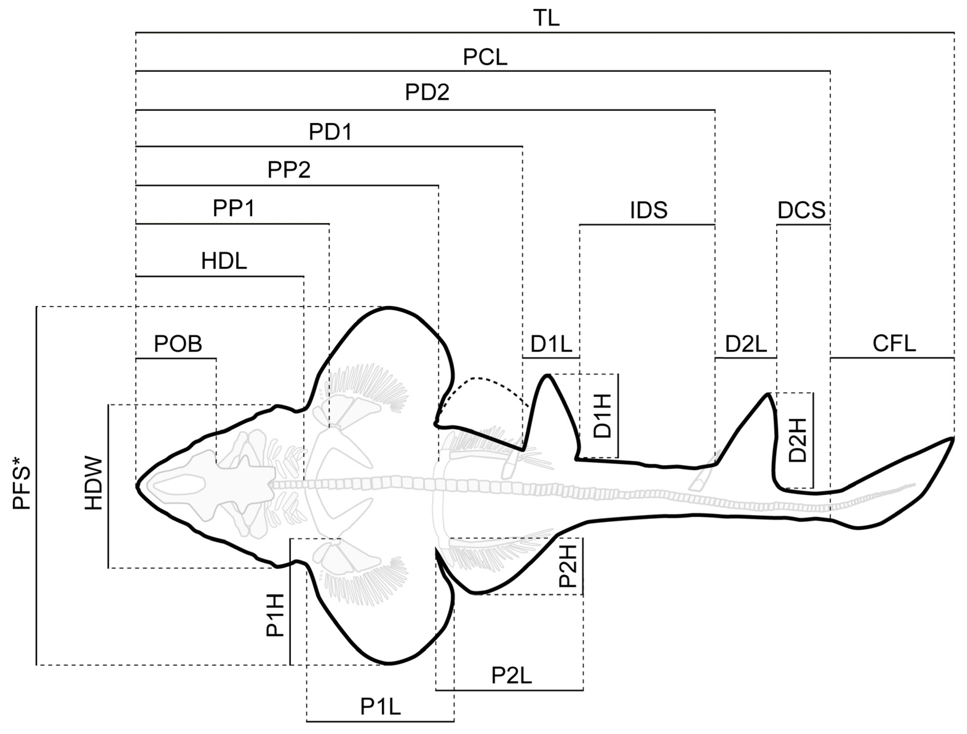 Diversity 15 00311 g002