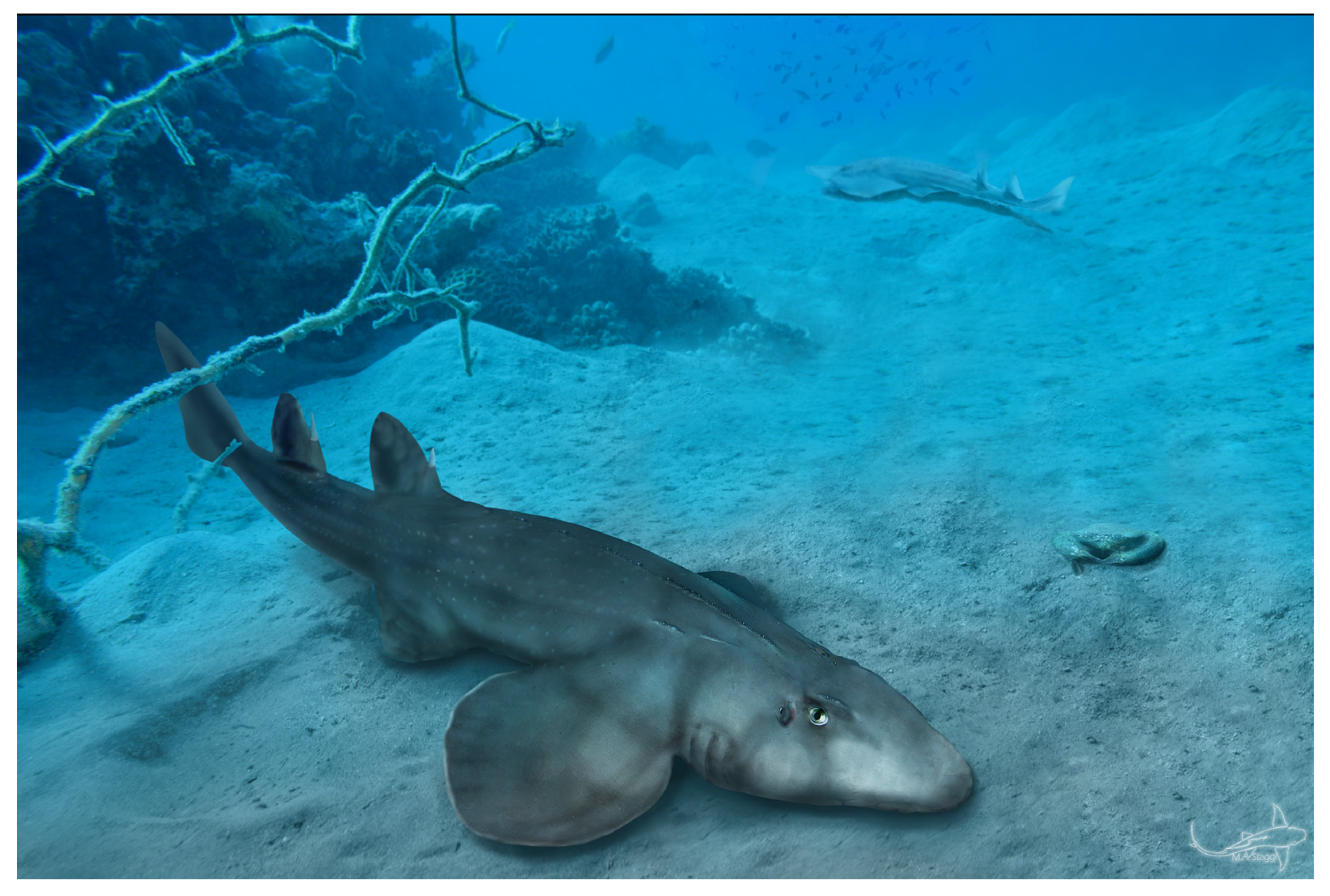 Diversity 15 00311 g011