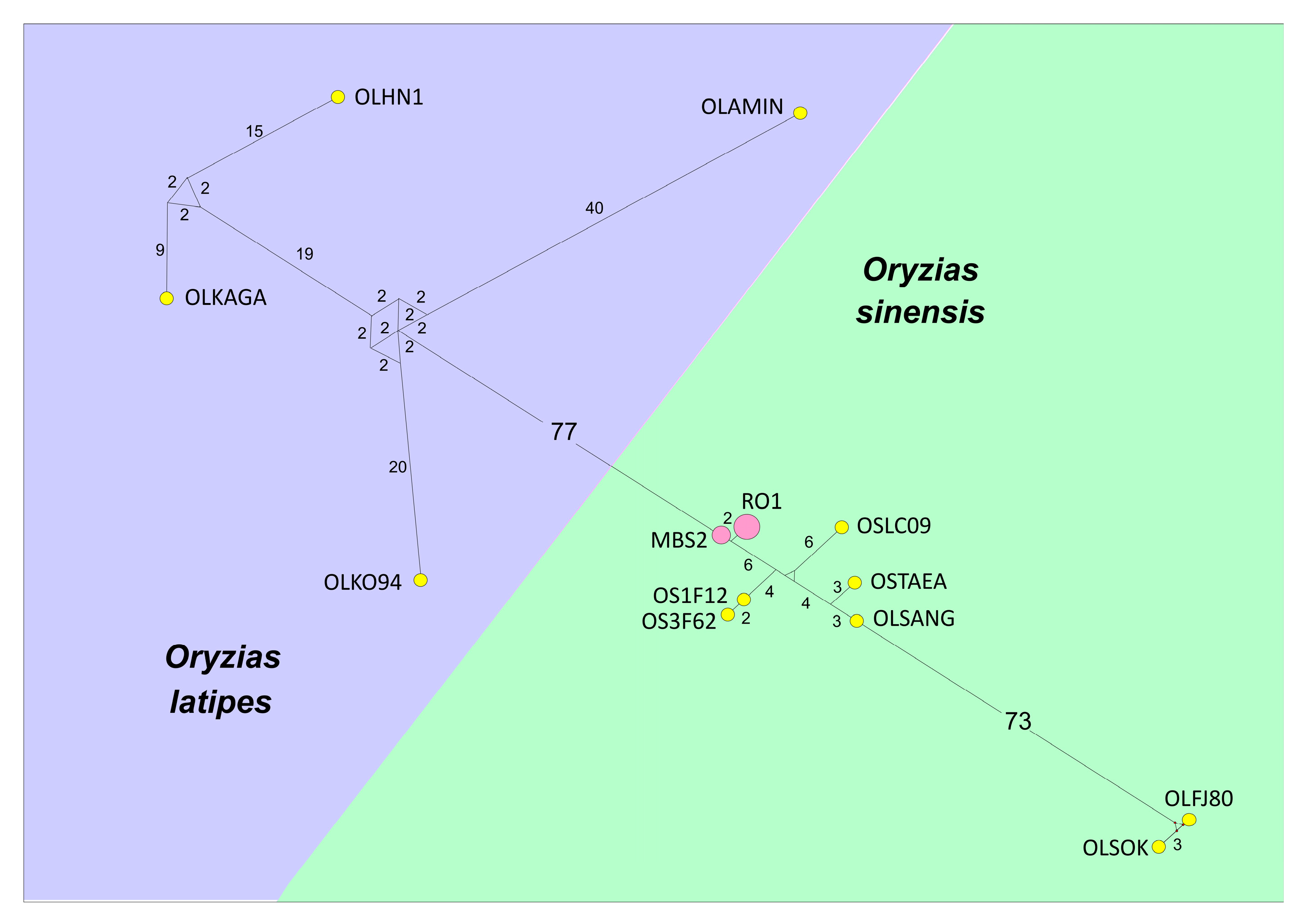 Diversity 15 00317 g002