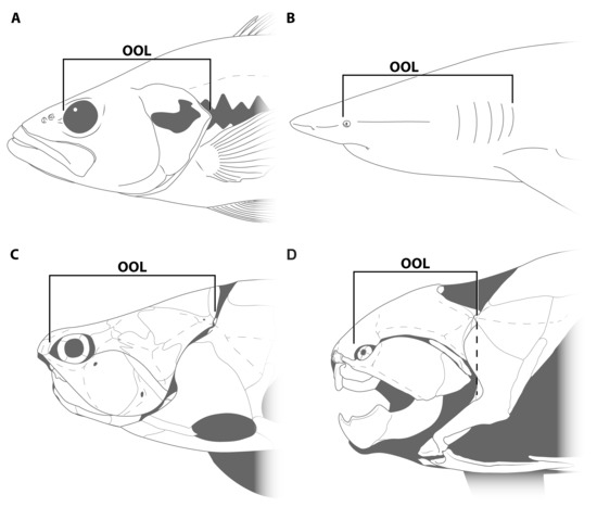 Diversity 15 00318 g001