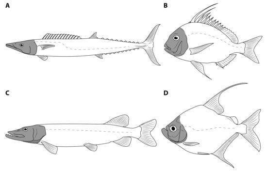 Diversity 15 00318 g002