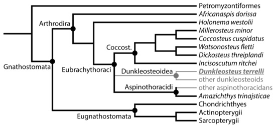 Diversity 15 00318 g003