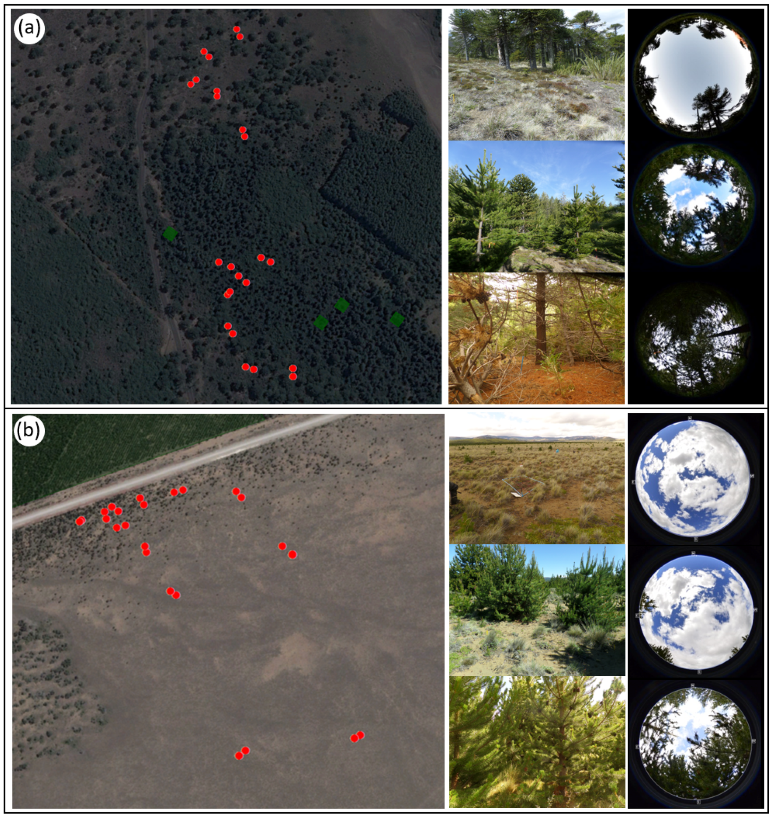 Diversity 15 00320 g002
