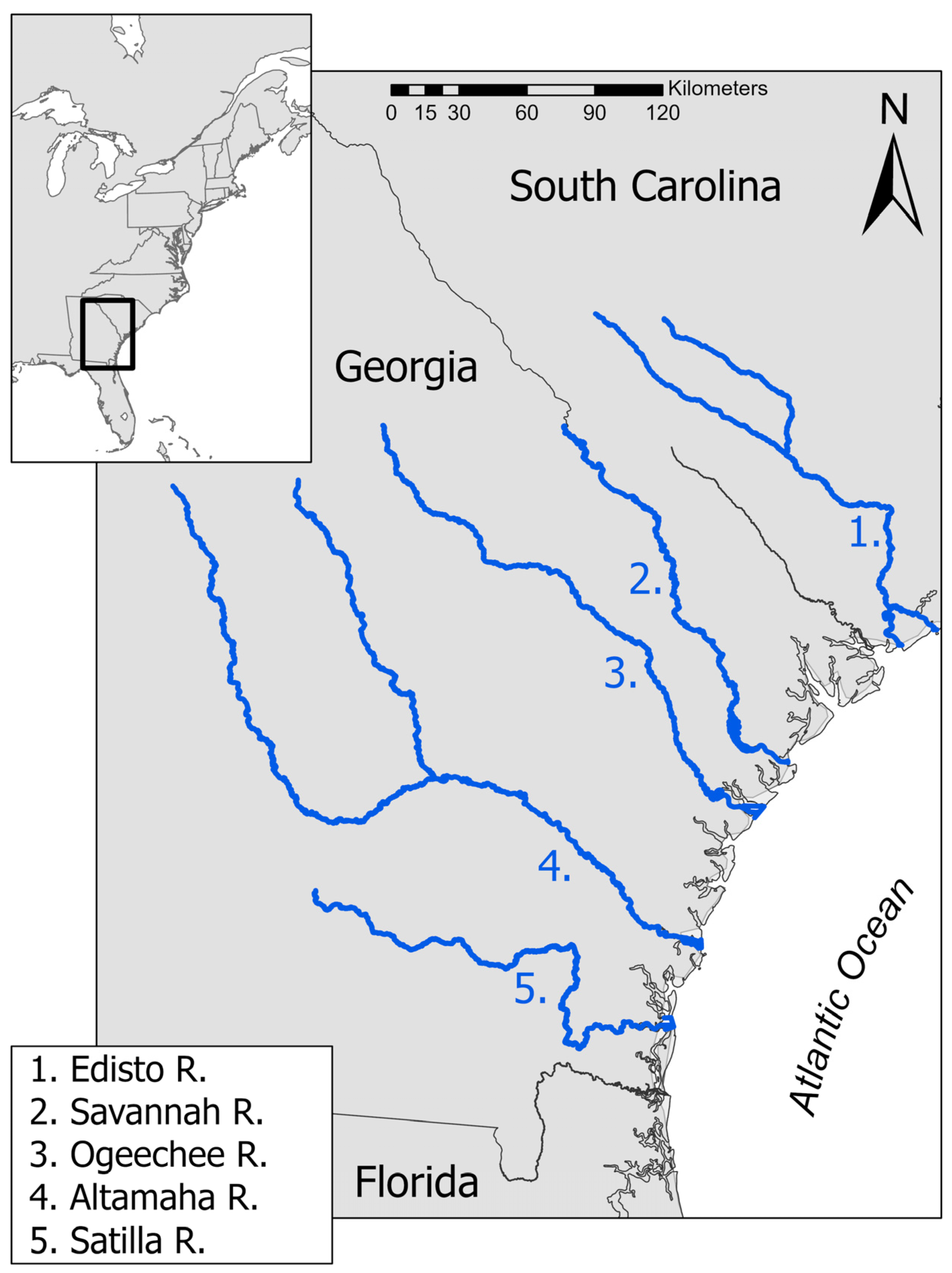 Diversity 15 00325 g001