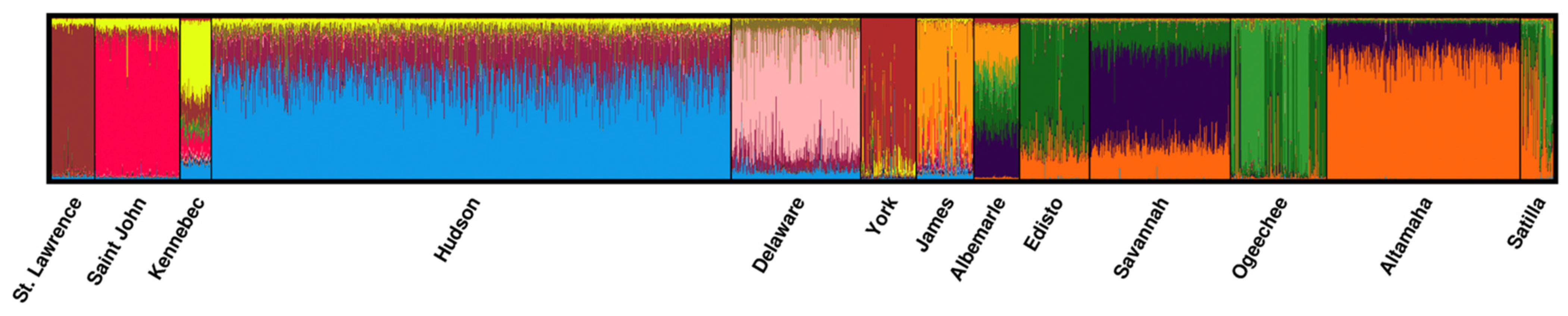 Diversity 15 00325 g002