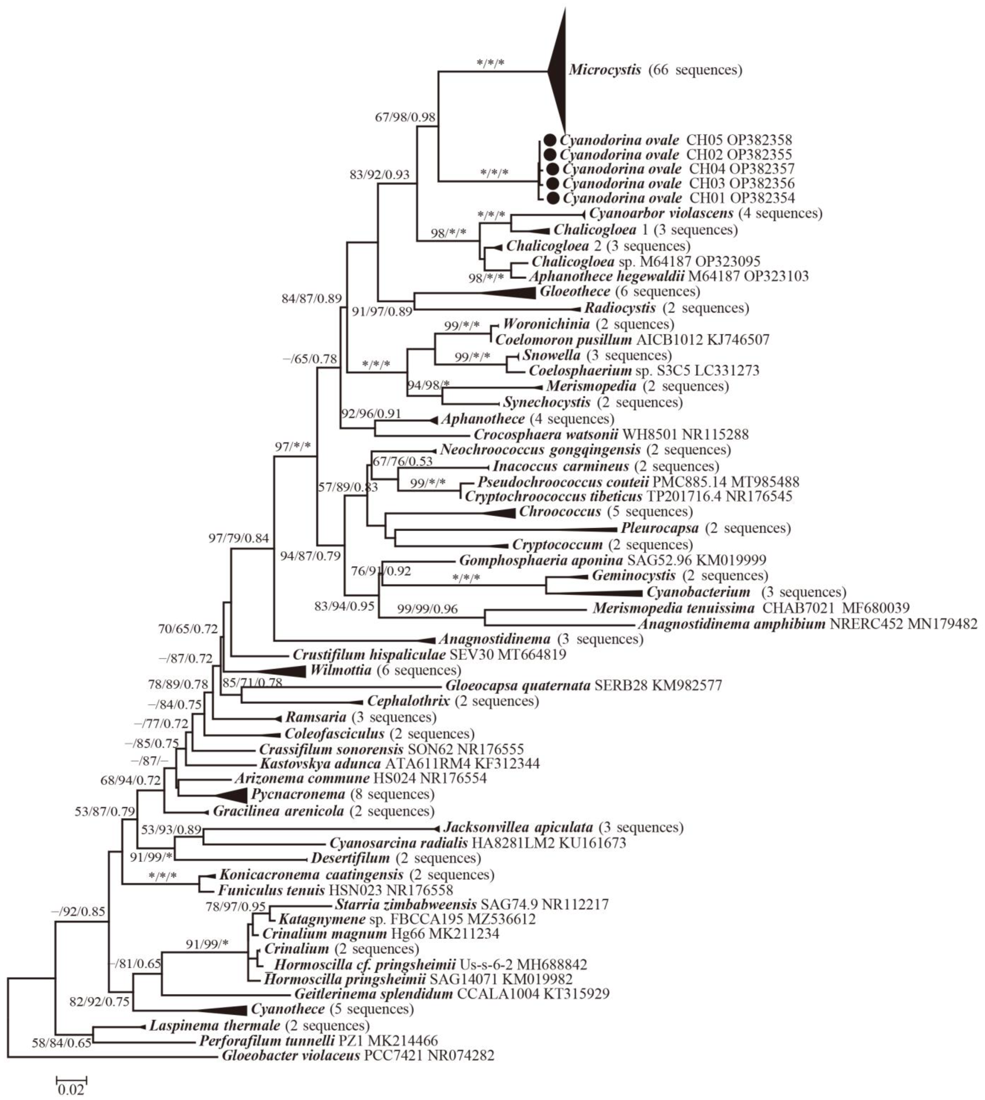 Diversity 15 00329 g003