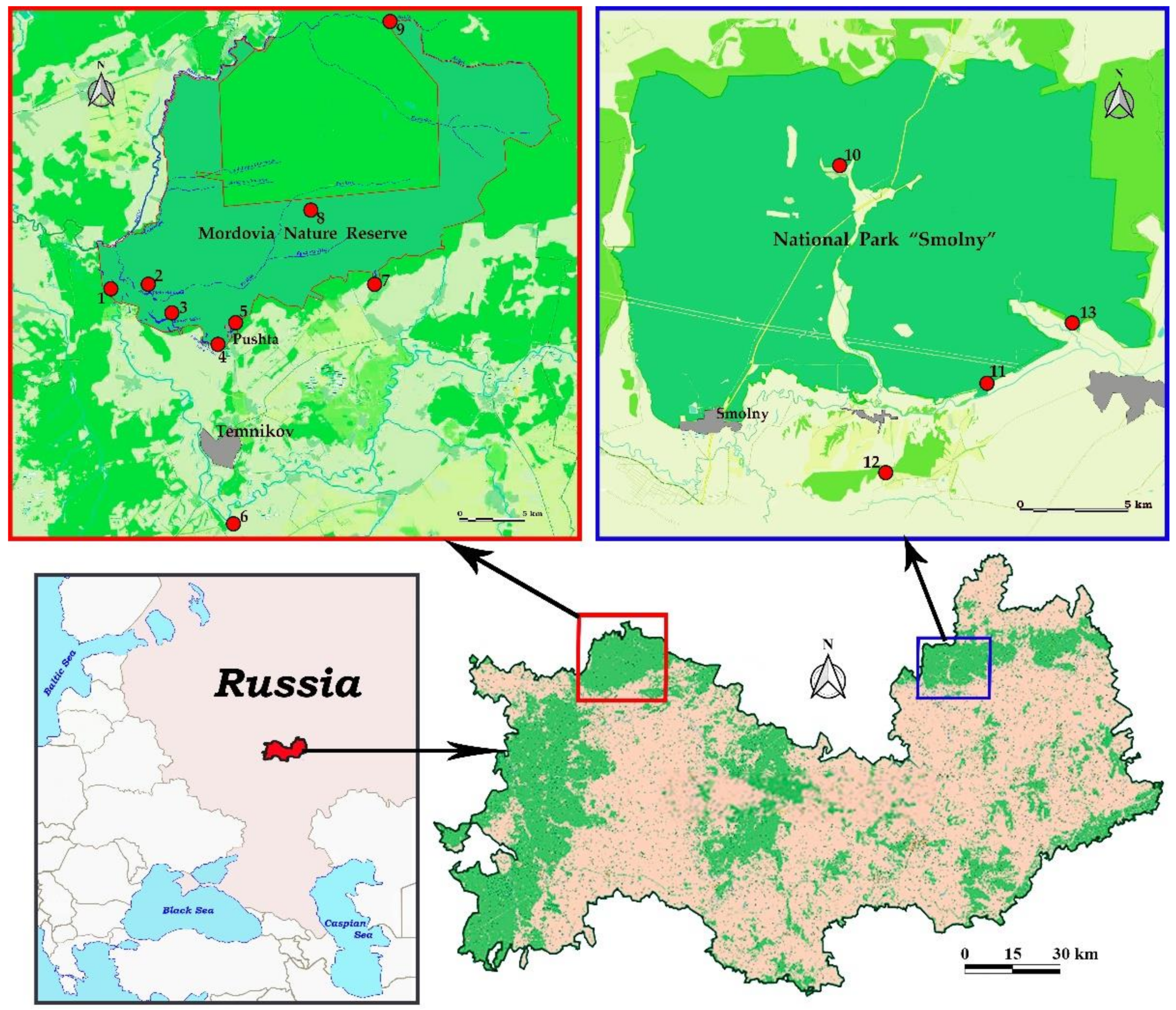 Diversity 15 00330 g001
