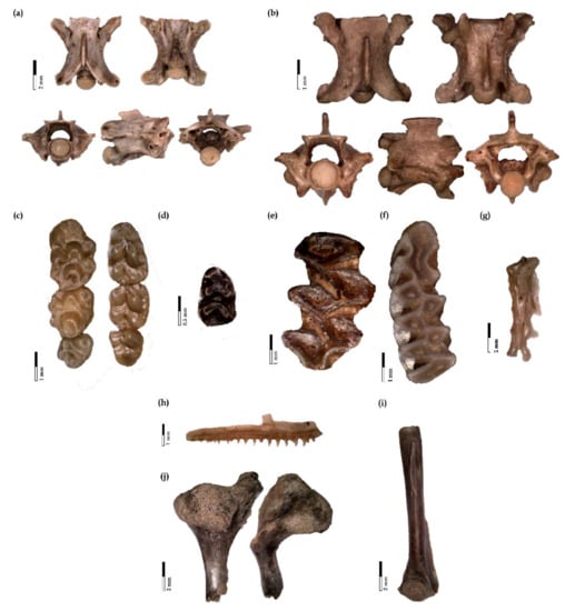 Diversity 15 00340 g006