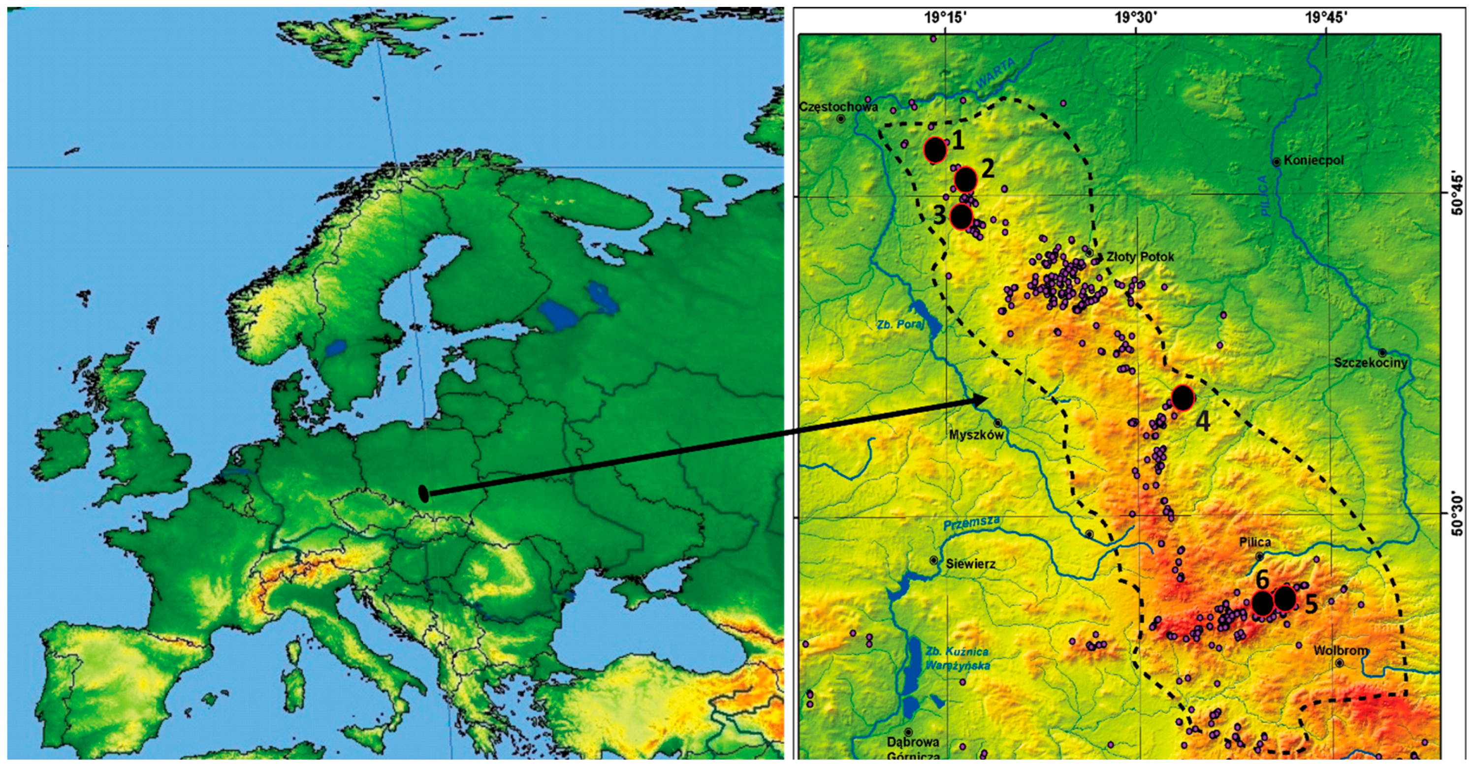 Diversity 15 00345 g001