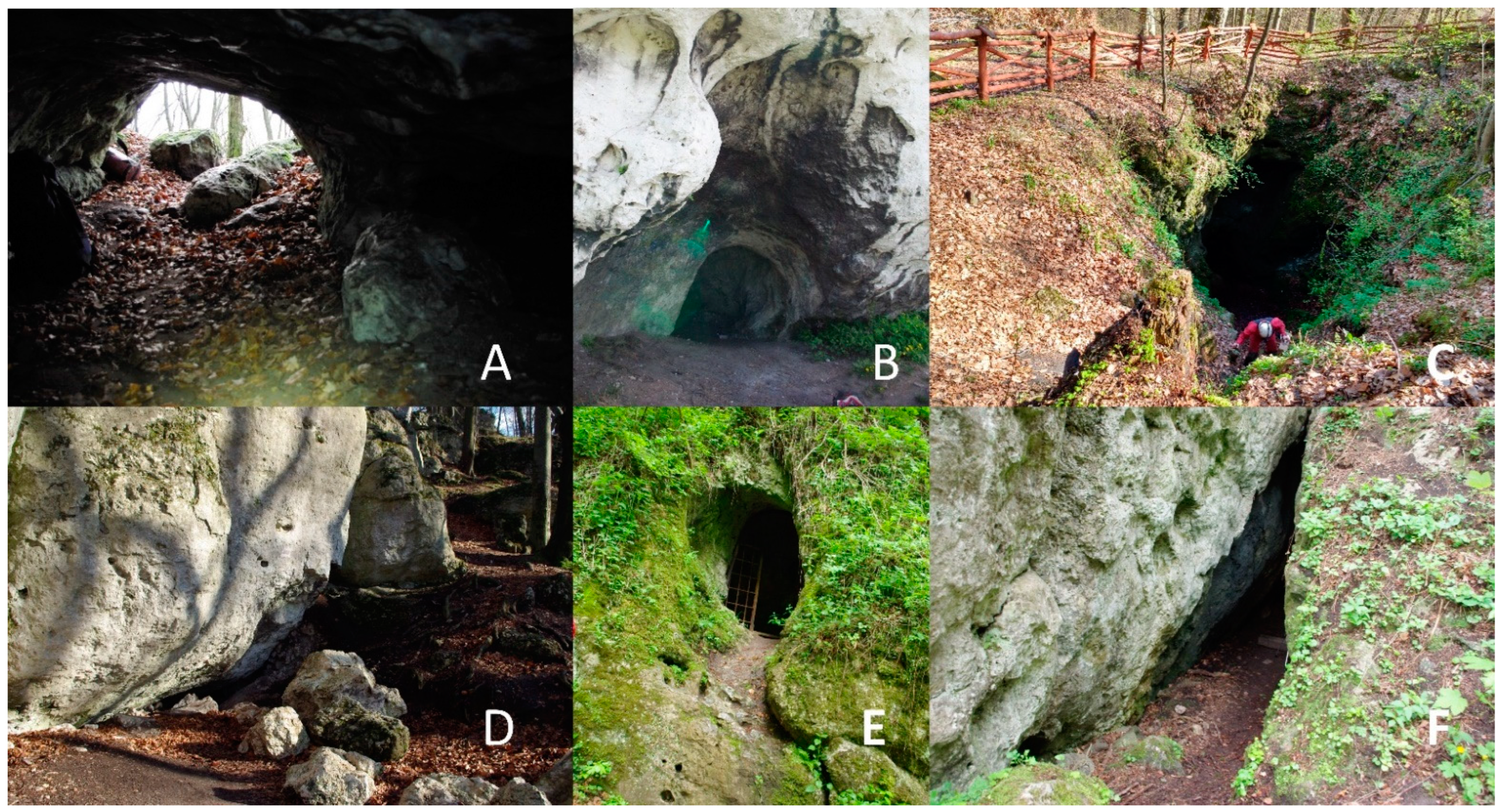 Diversity 15 00345 g002