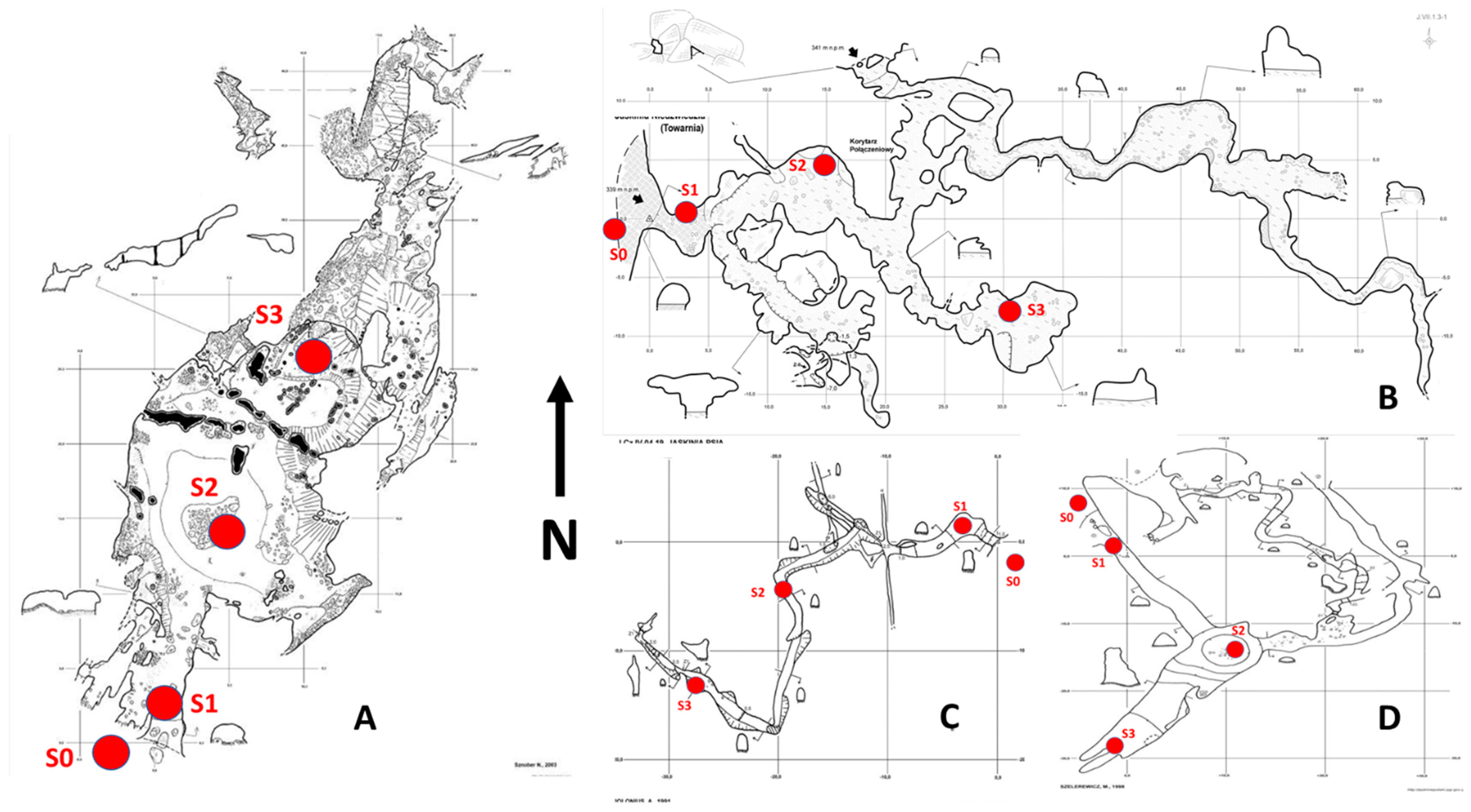 Diversity 15 00345 g003