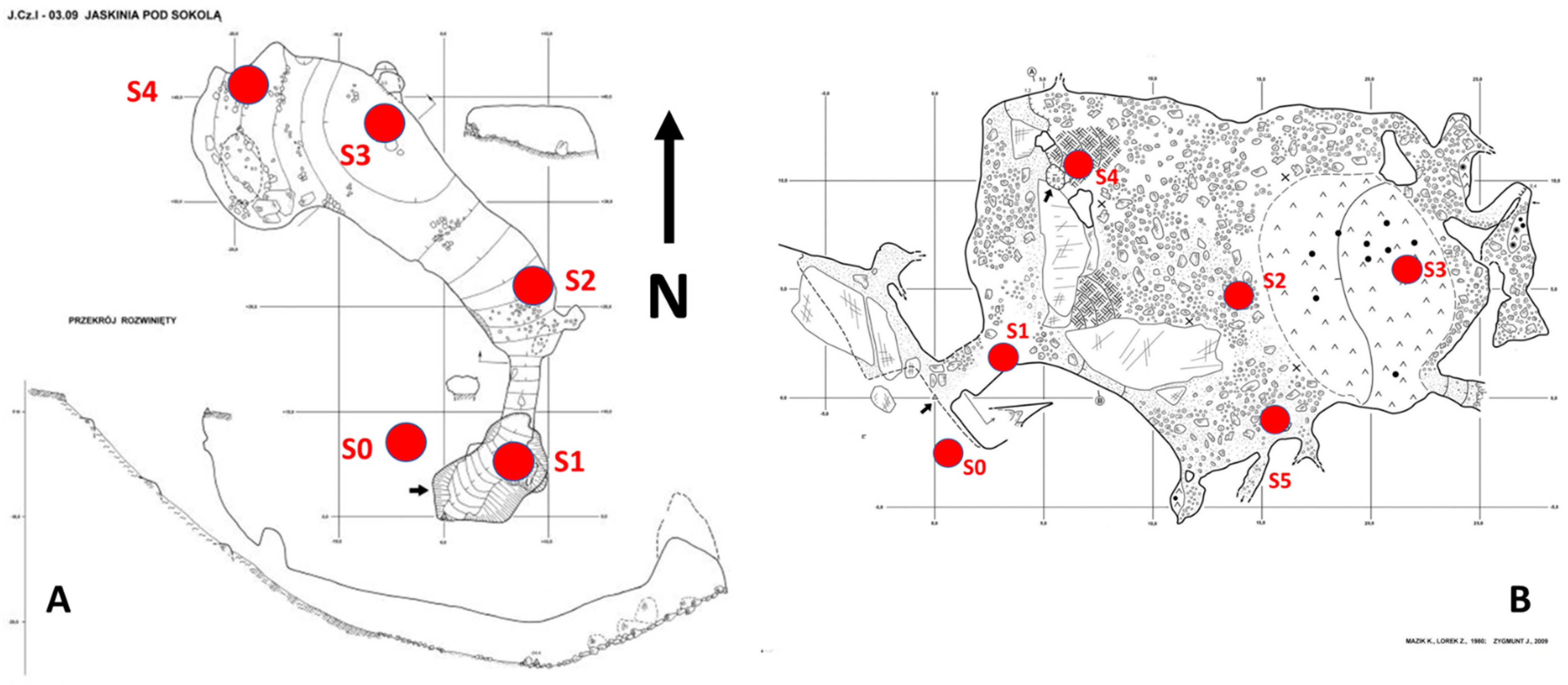 Diversity 15 00345 g004