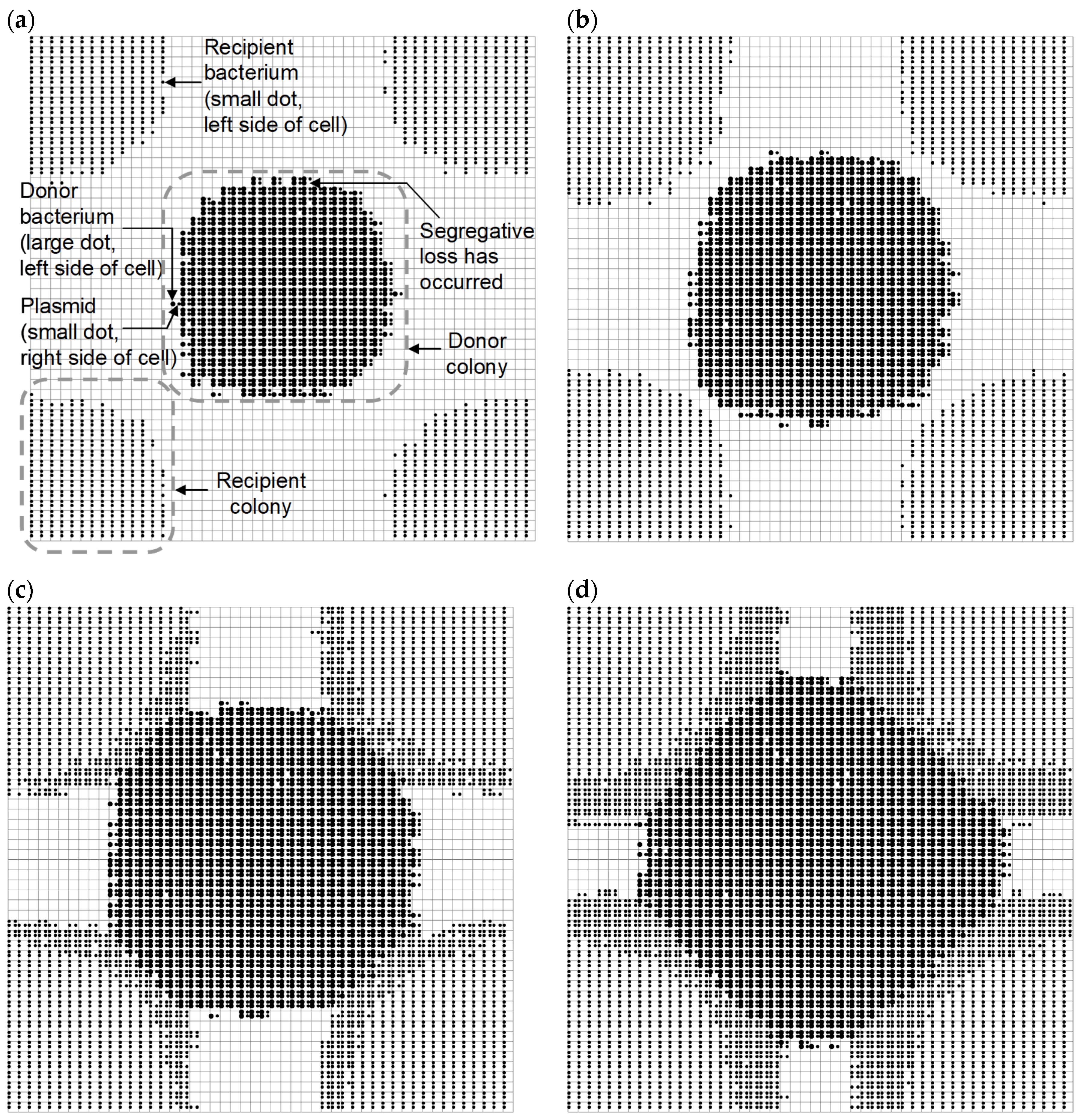 Diversity 15 00347 g004