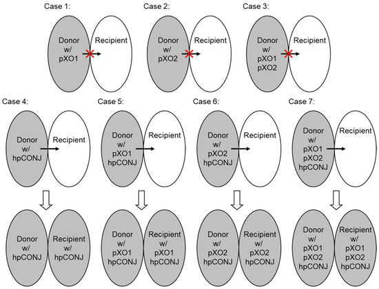 Diversity 15 00347 g0a2