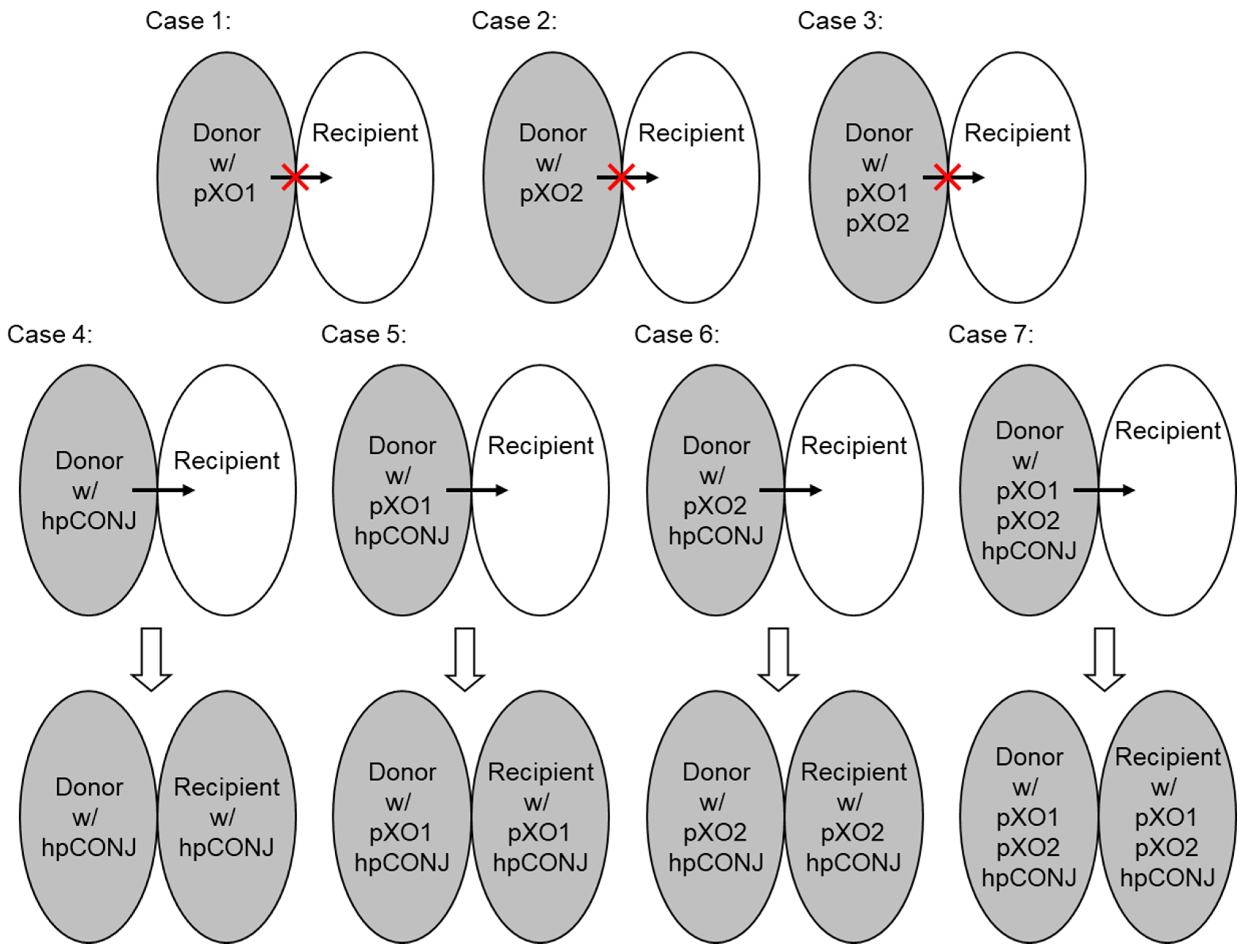 Diversity 15 00347 g0a2