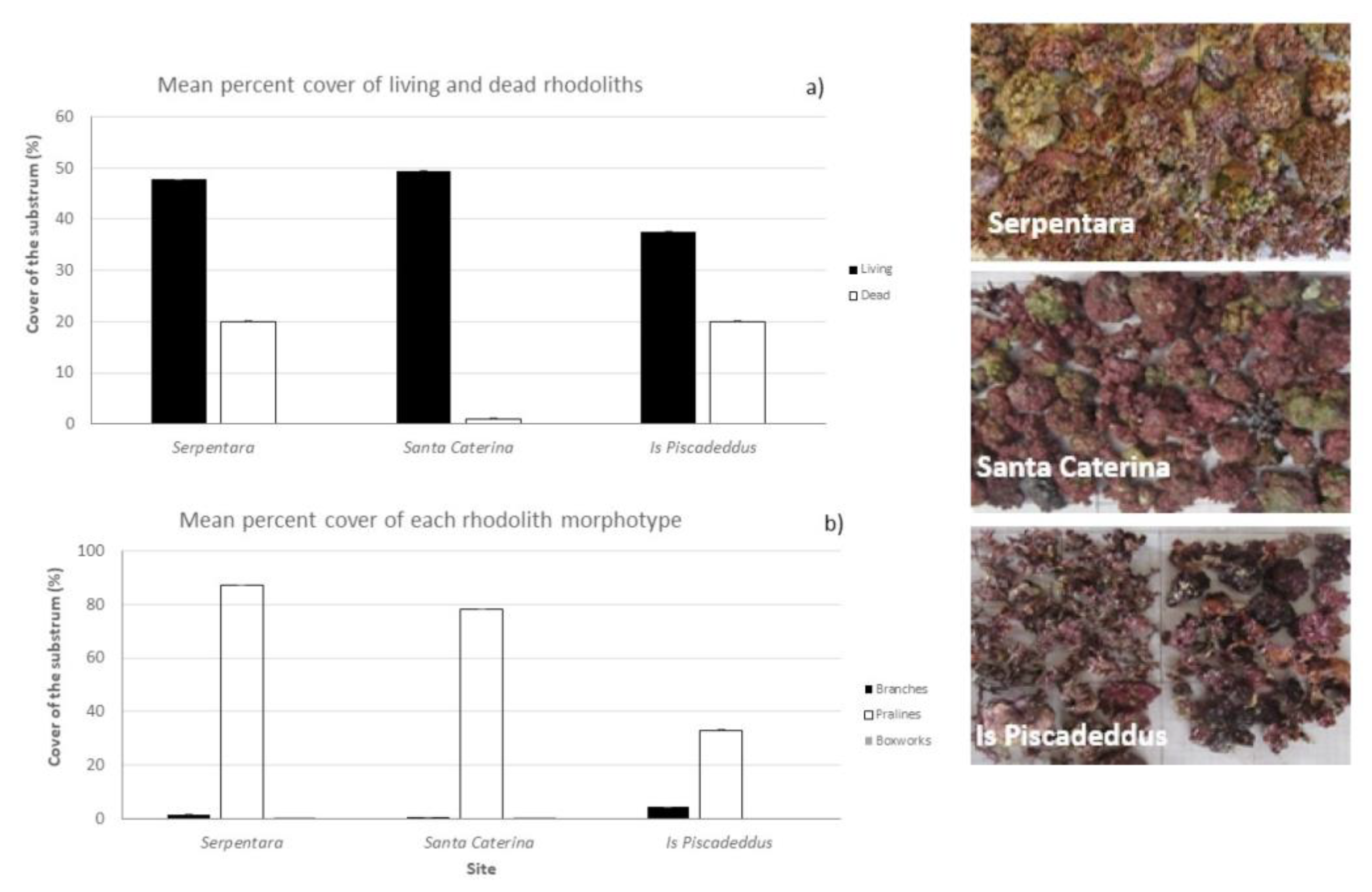 Diversity 15 00349 g004 Diversity 15 00349 g004
