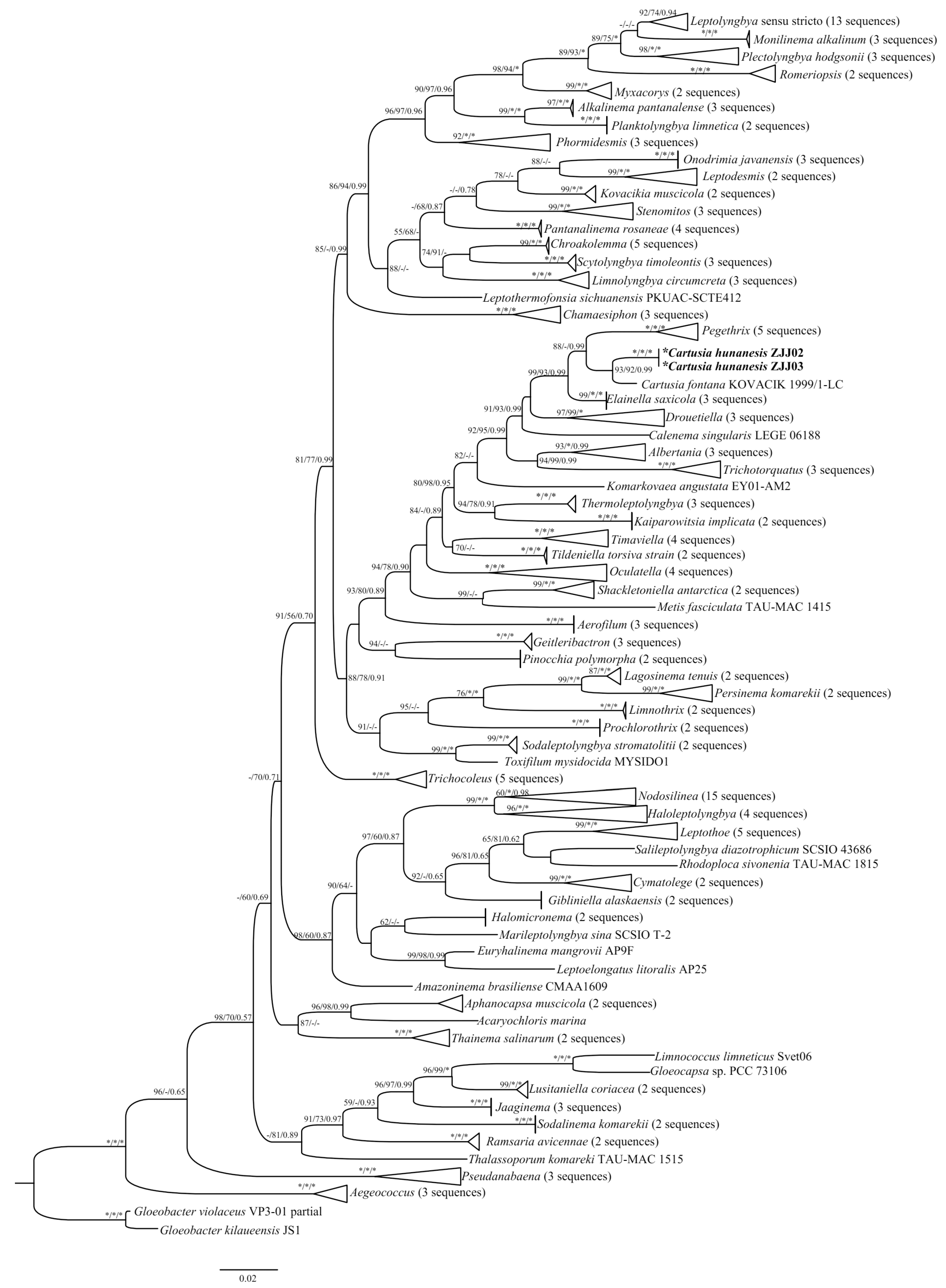 Diversity 15 00350 g003