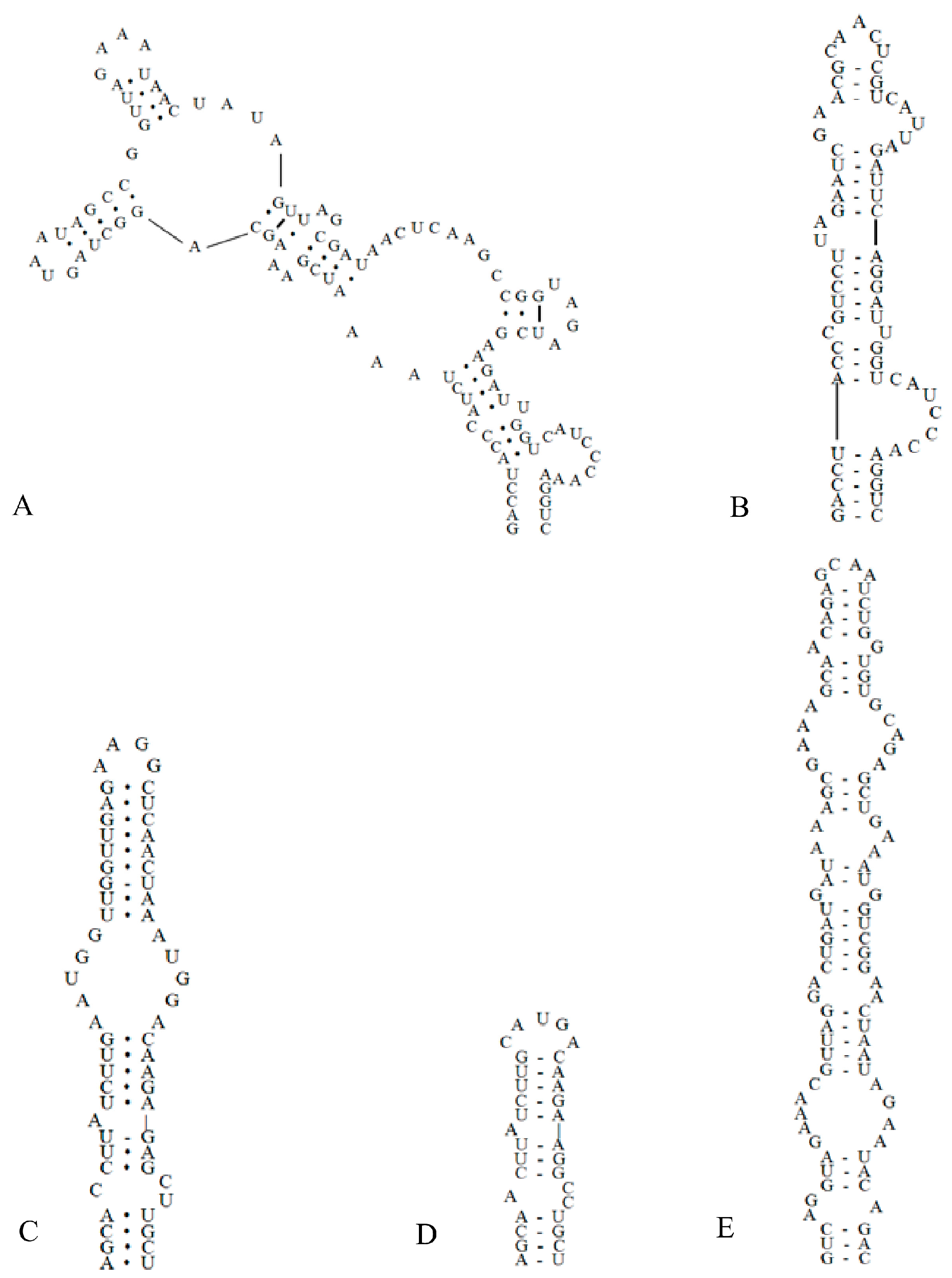 Diversity 15 00350 g004