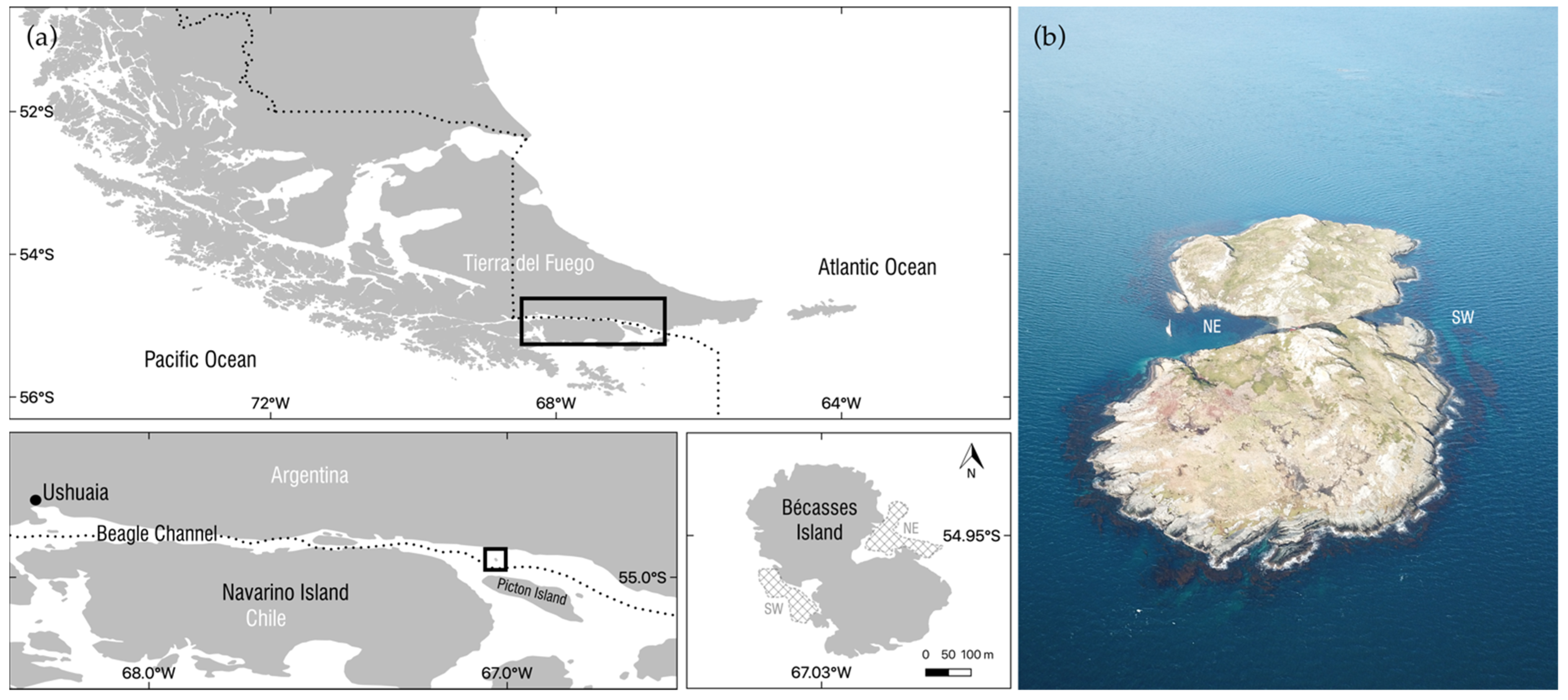 Diversity 15 00354 g001