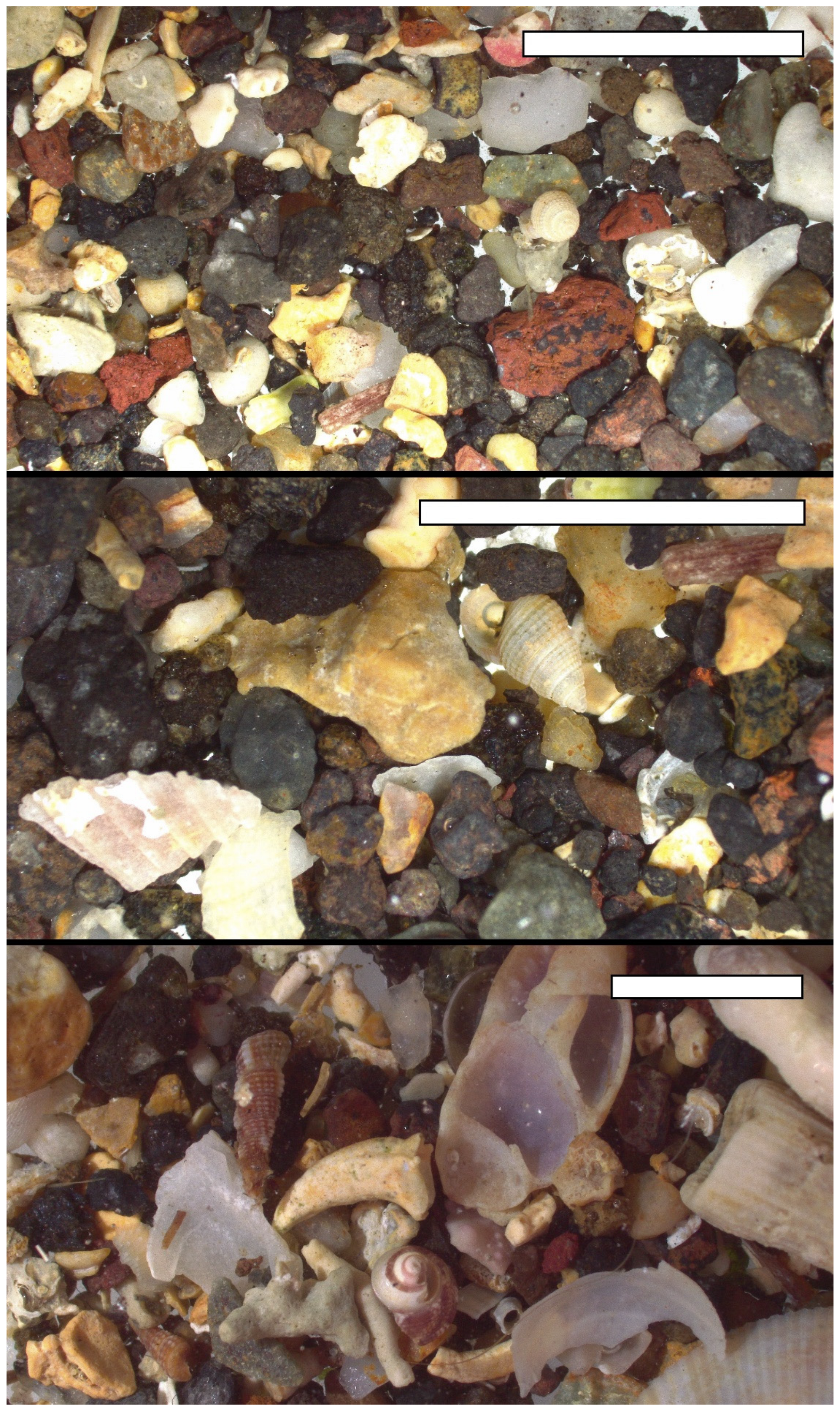 Diversity 15 00358 g002 Diversity 15 00358 g002