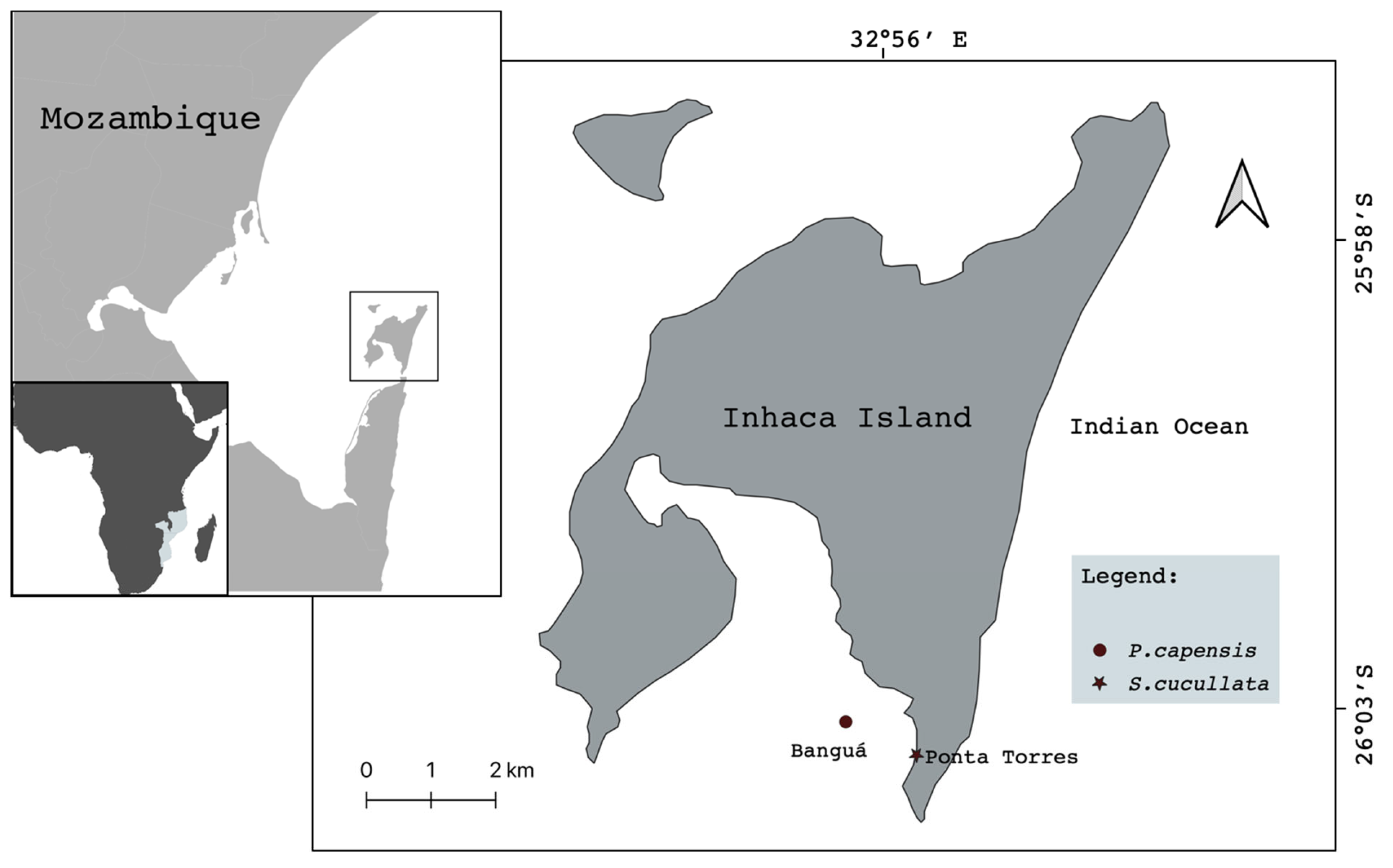 Diversity 15 00361 g001