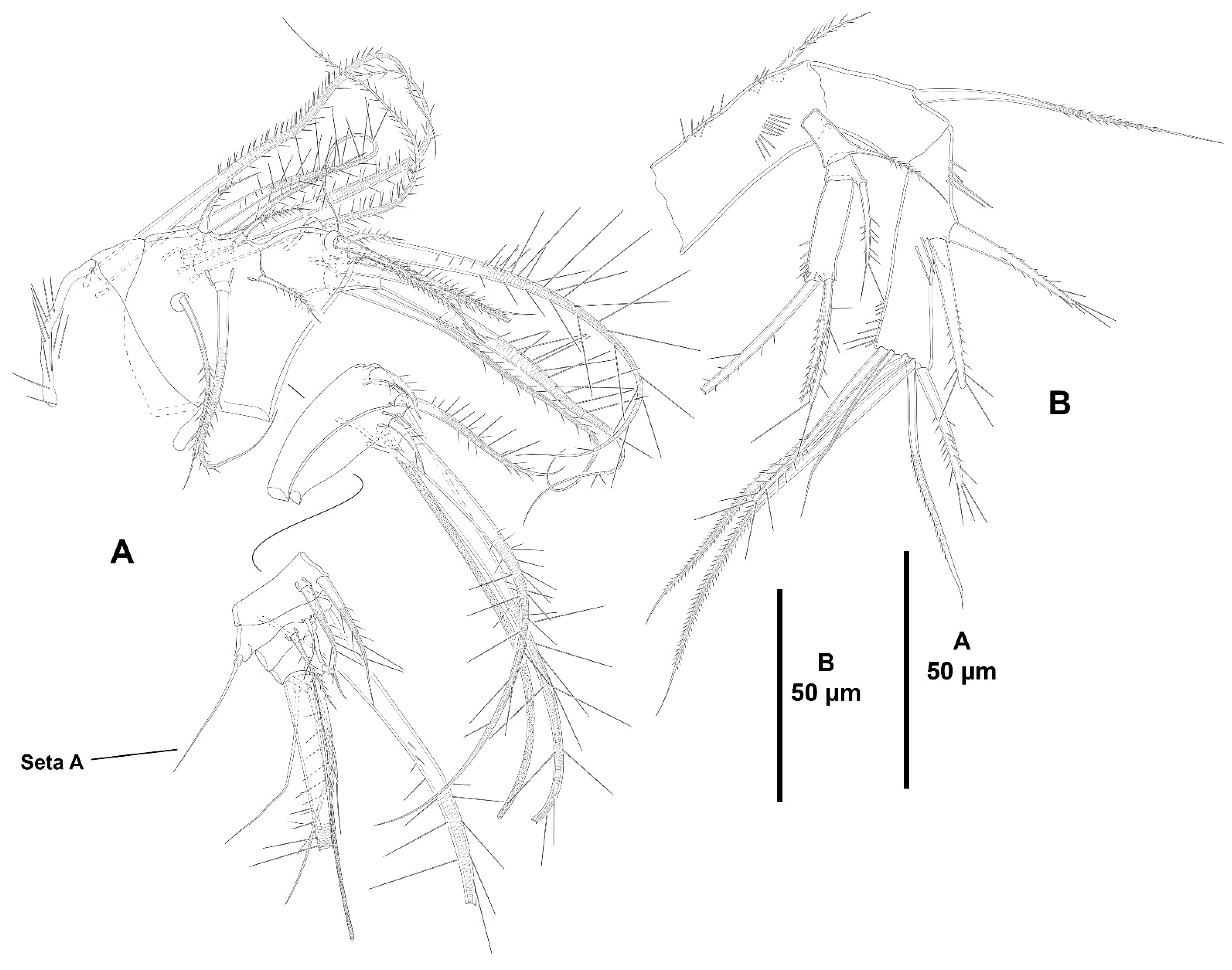Diversity 15 00363 g003