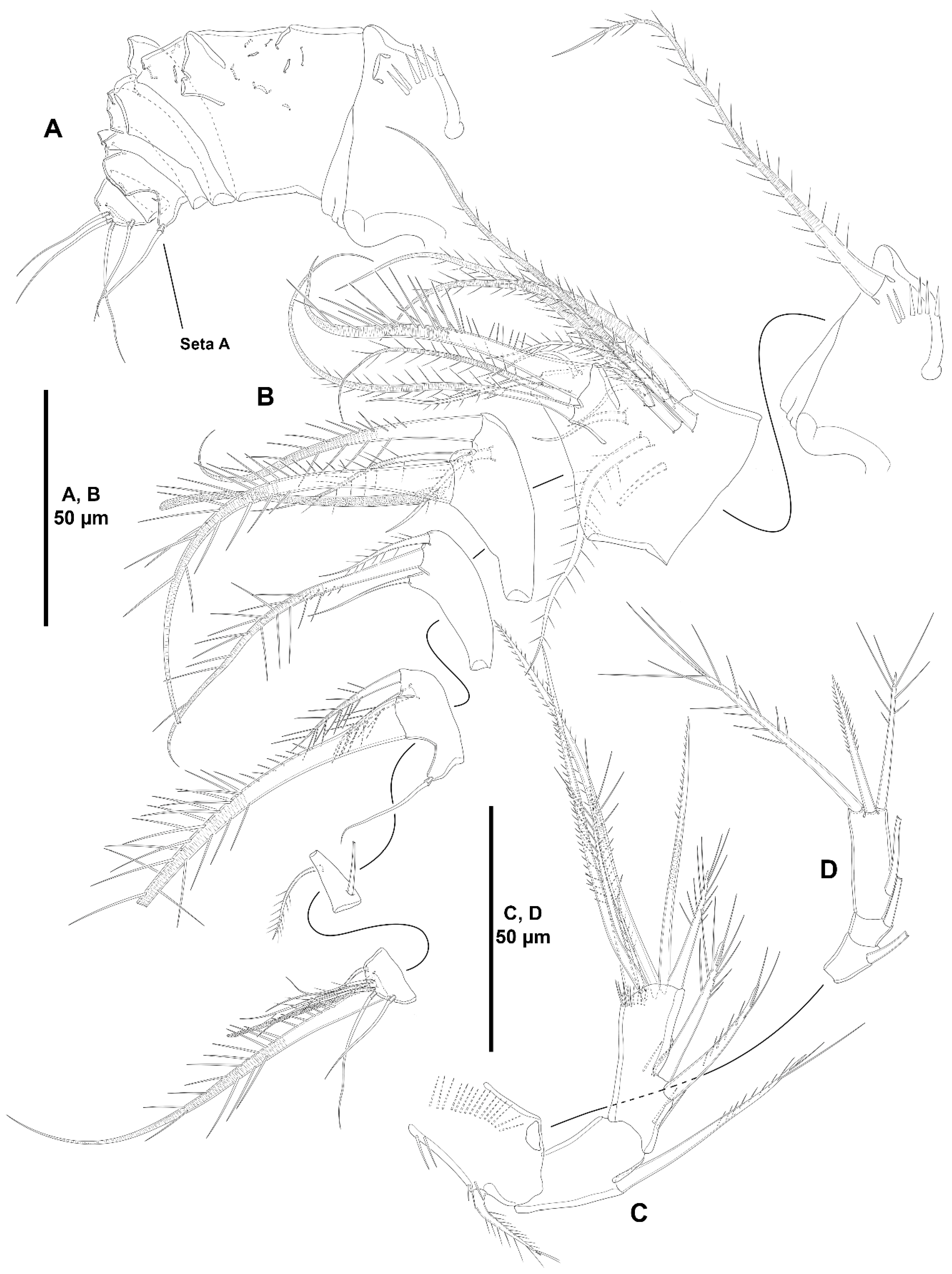 Diversity 15 00363 g009