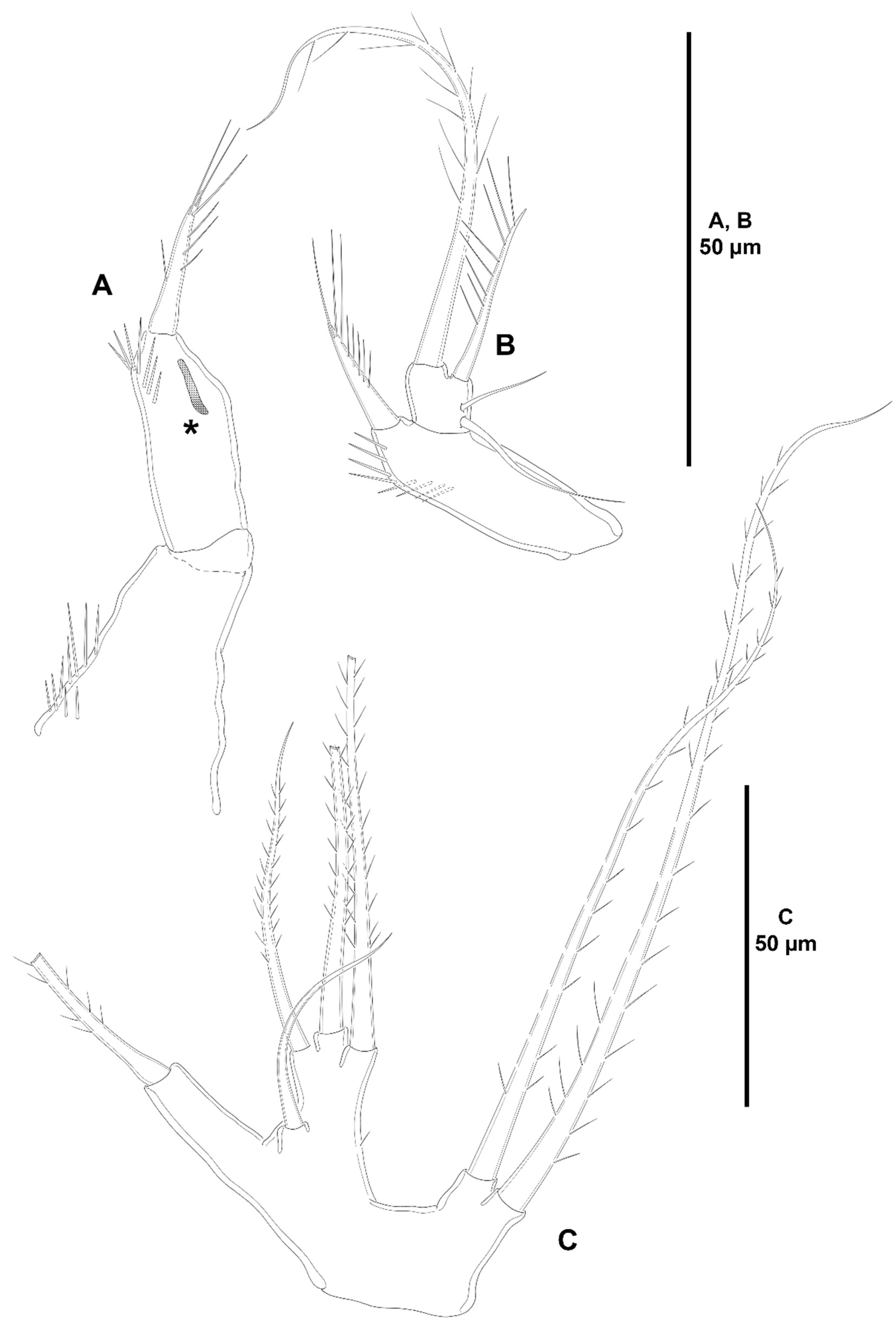Diversity 15 00363 g011