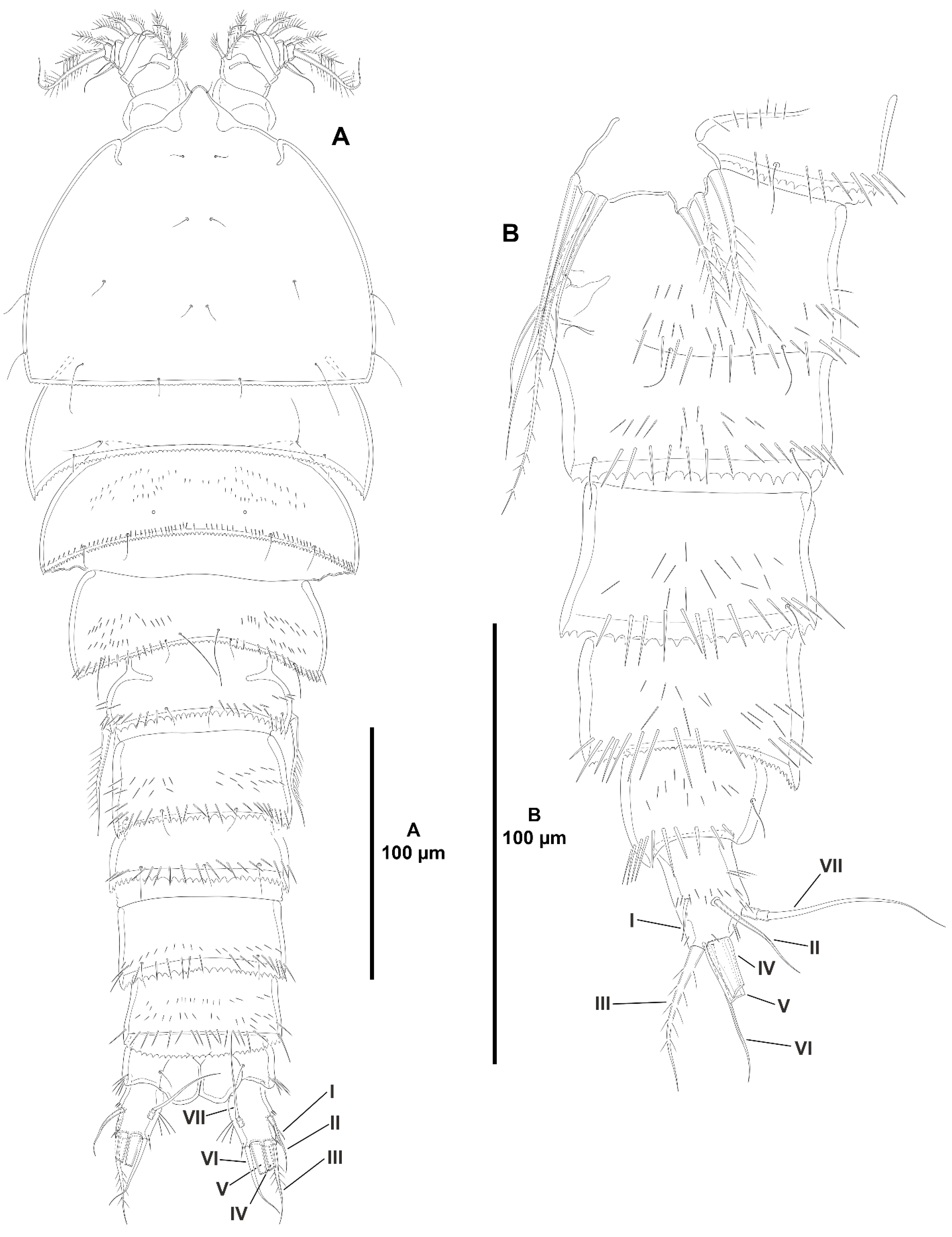 Diversity 15 00363 g014