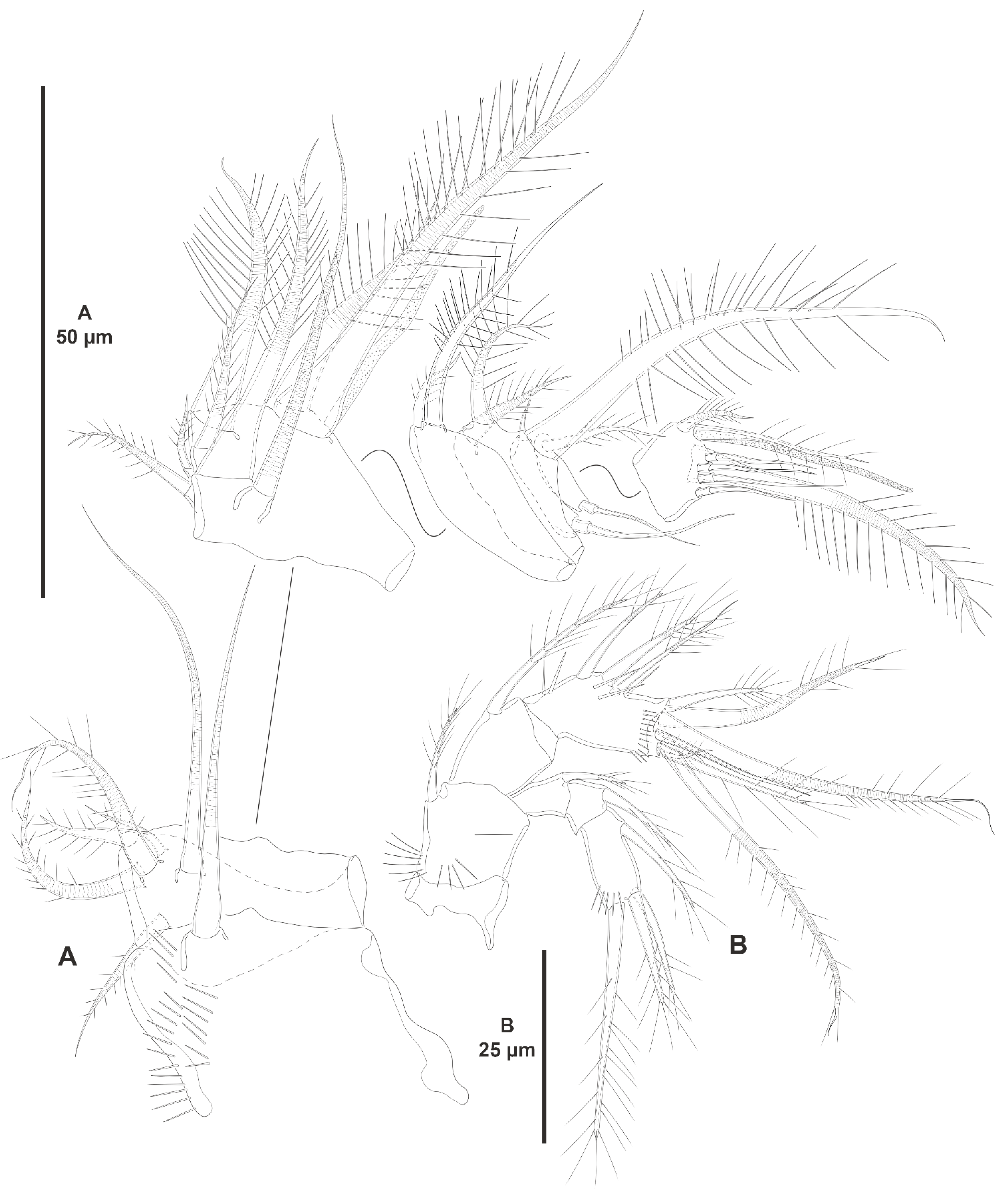 Diversity 15 00363 g016