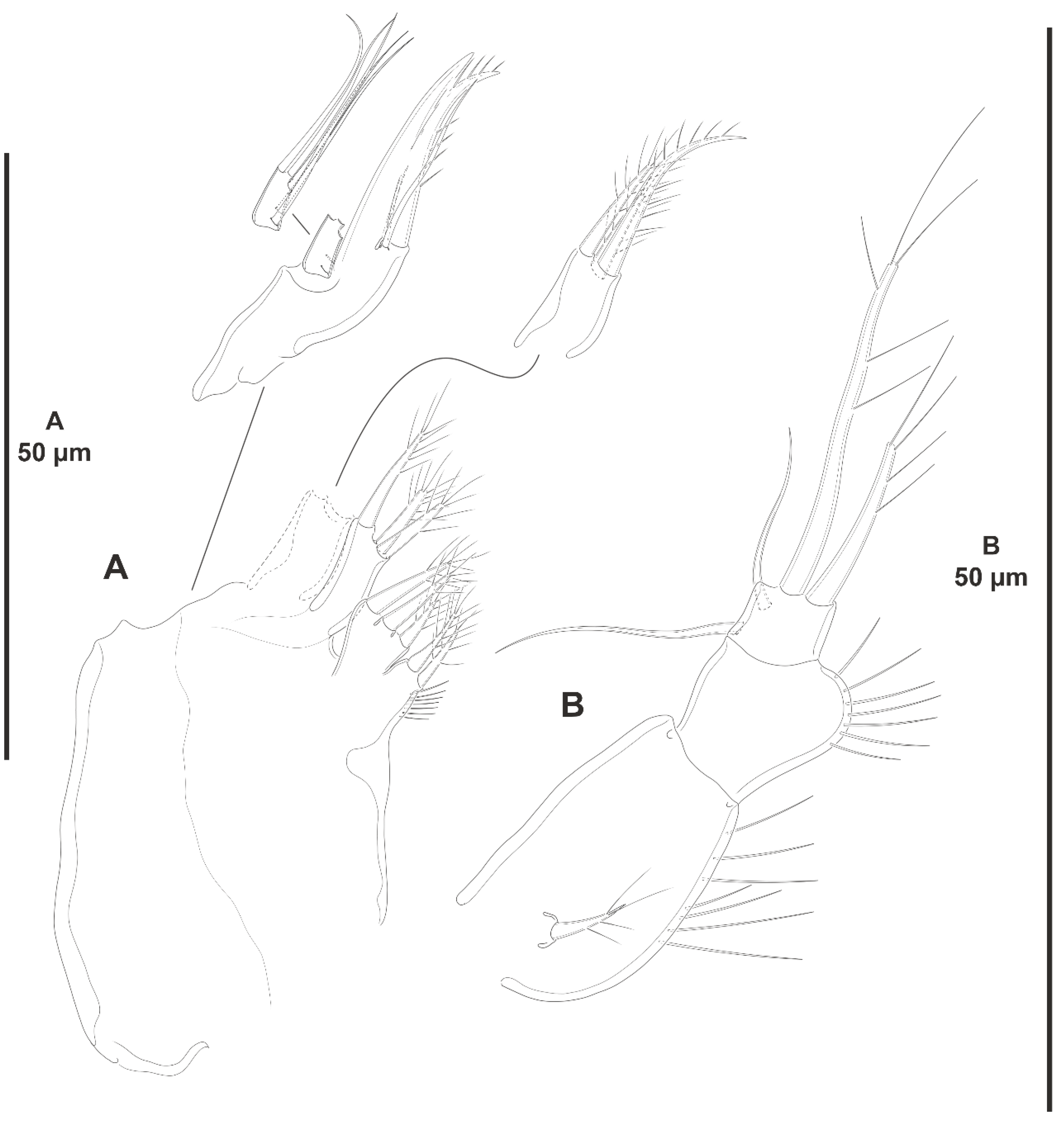 Diversity 15 00363 g018