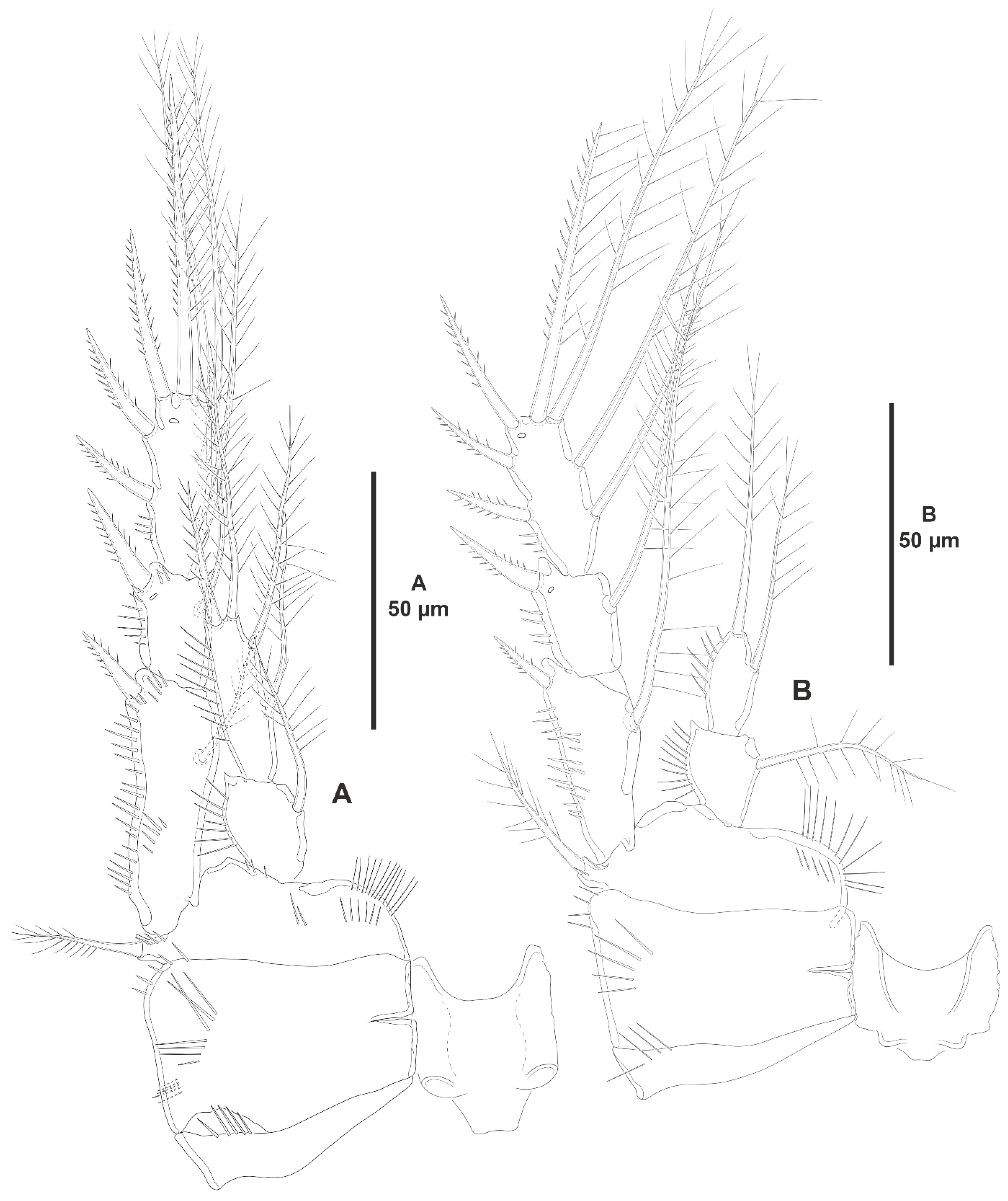 Diversity 15 00363 g020