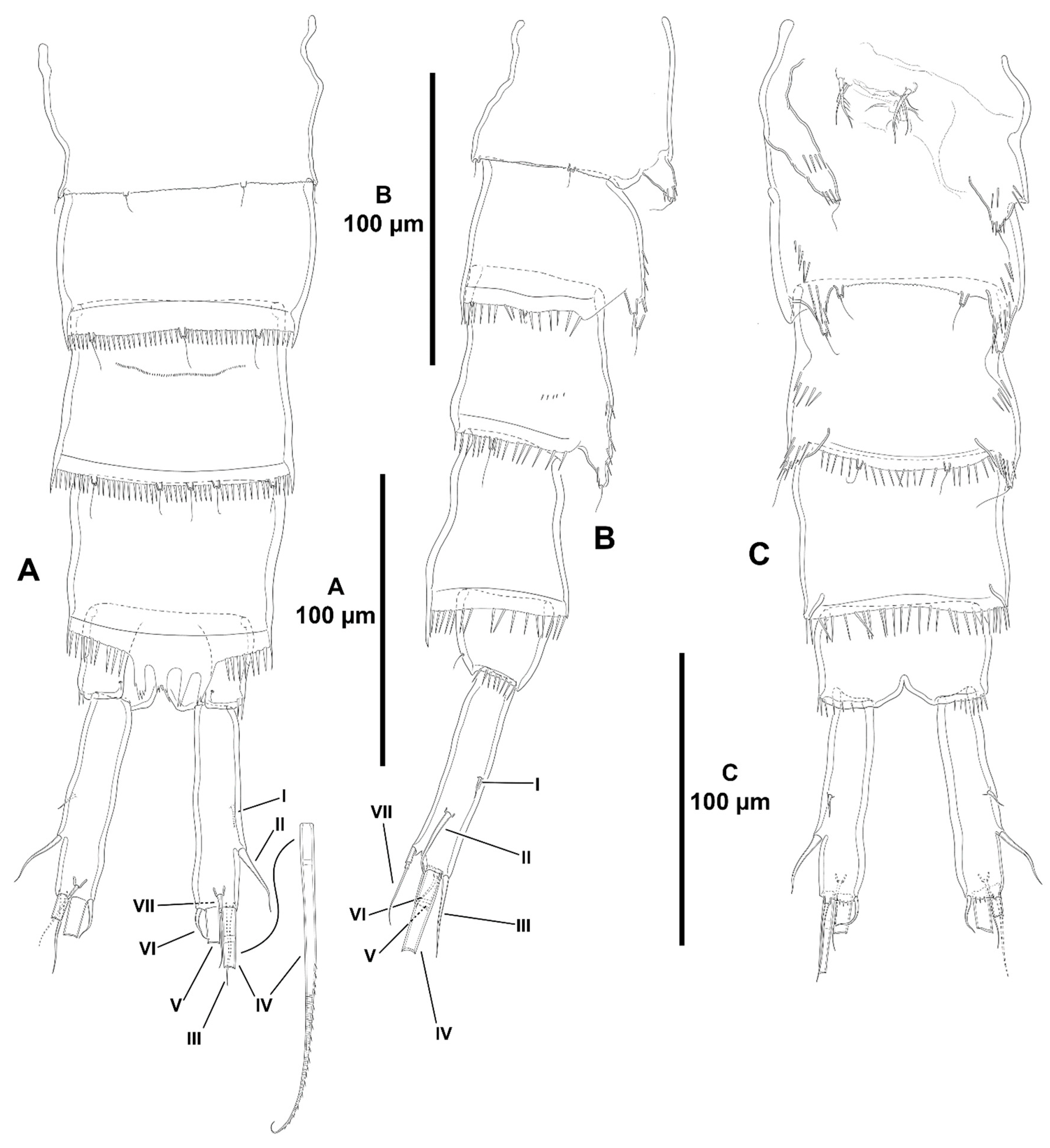 Diversity 15 00363 g021