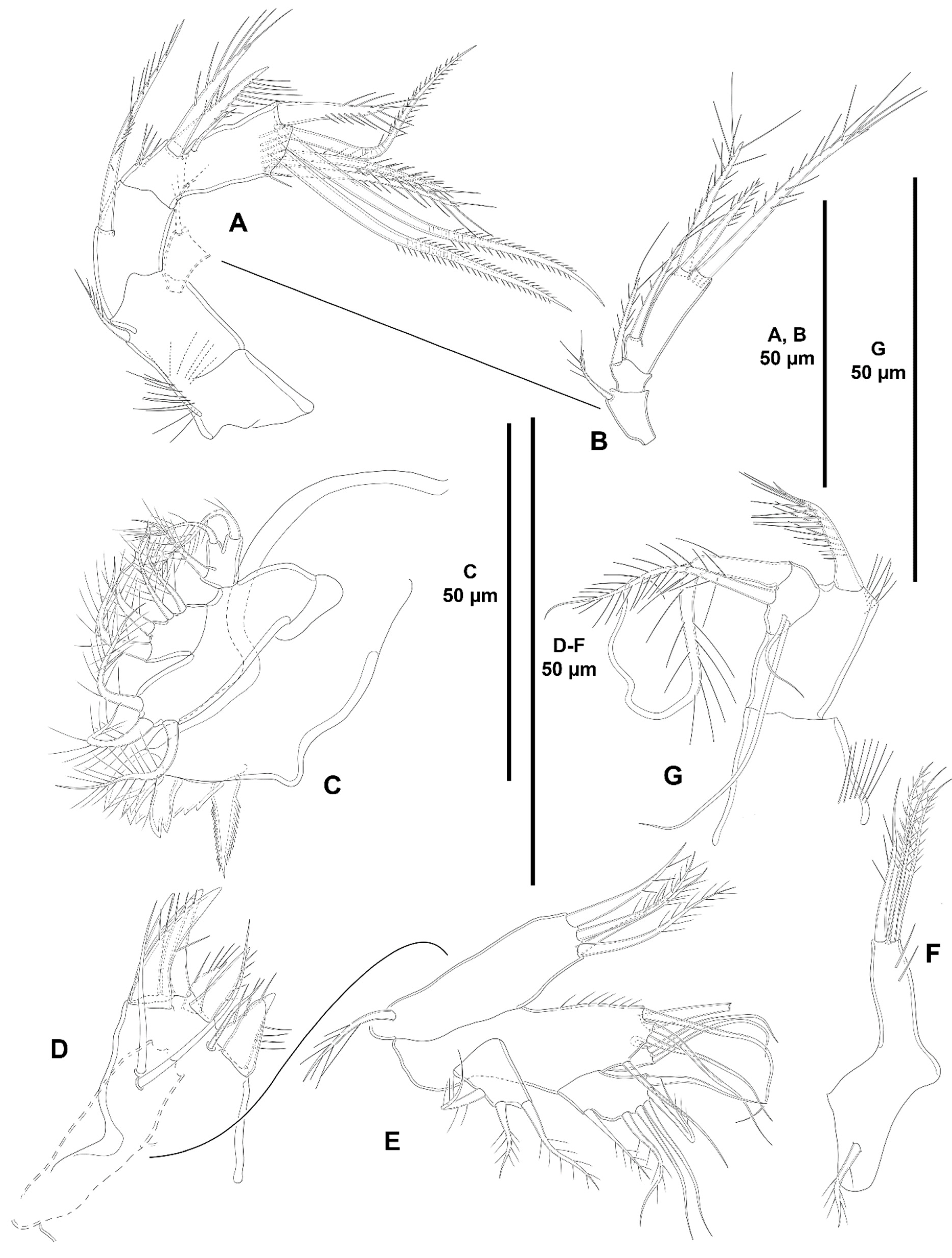 Diversity 15 00363 g023